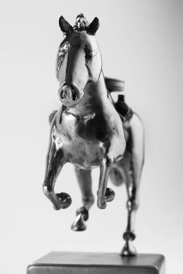 JIVE_Horse96.jpg