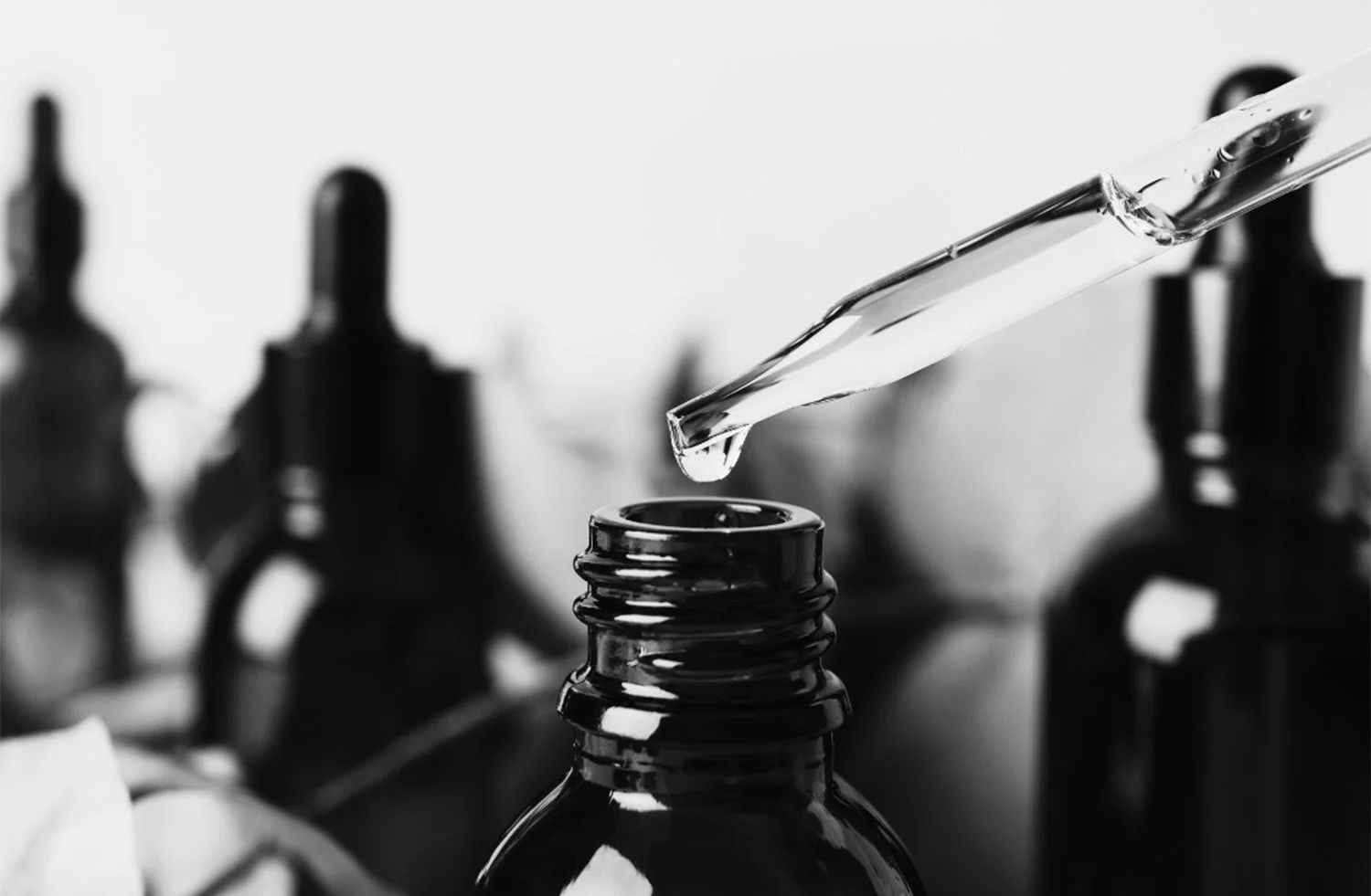 Decoding the Notes: A Beginner’s Guide to Fragrance Families