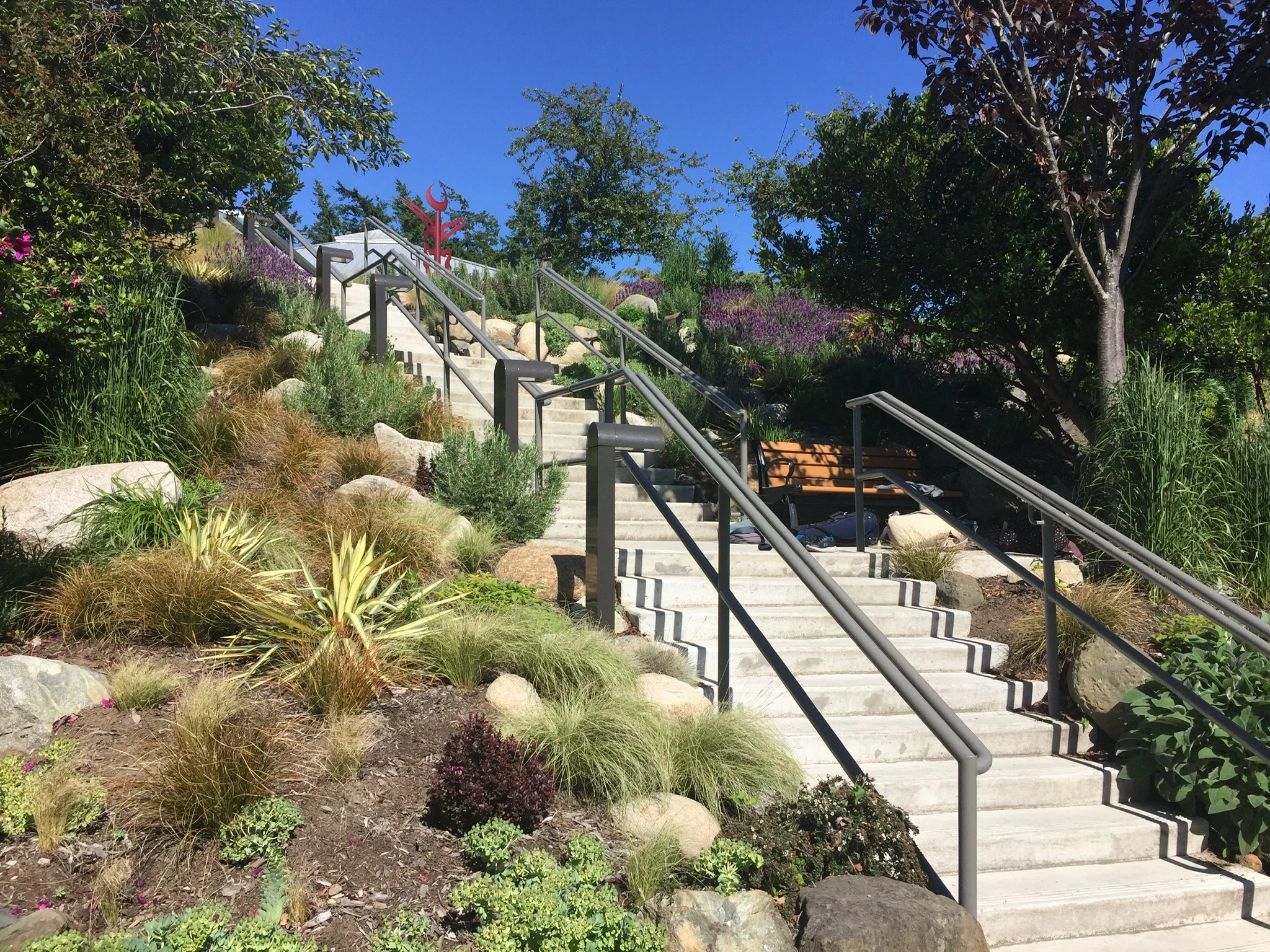Orcas Island Library Hardscape