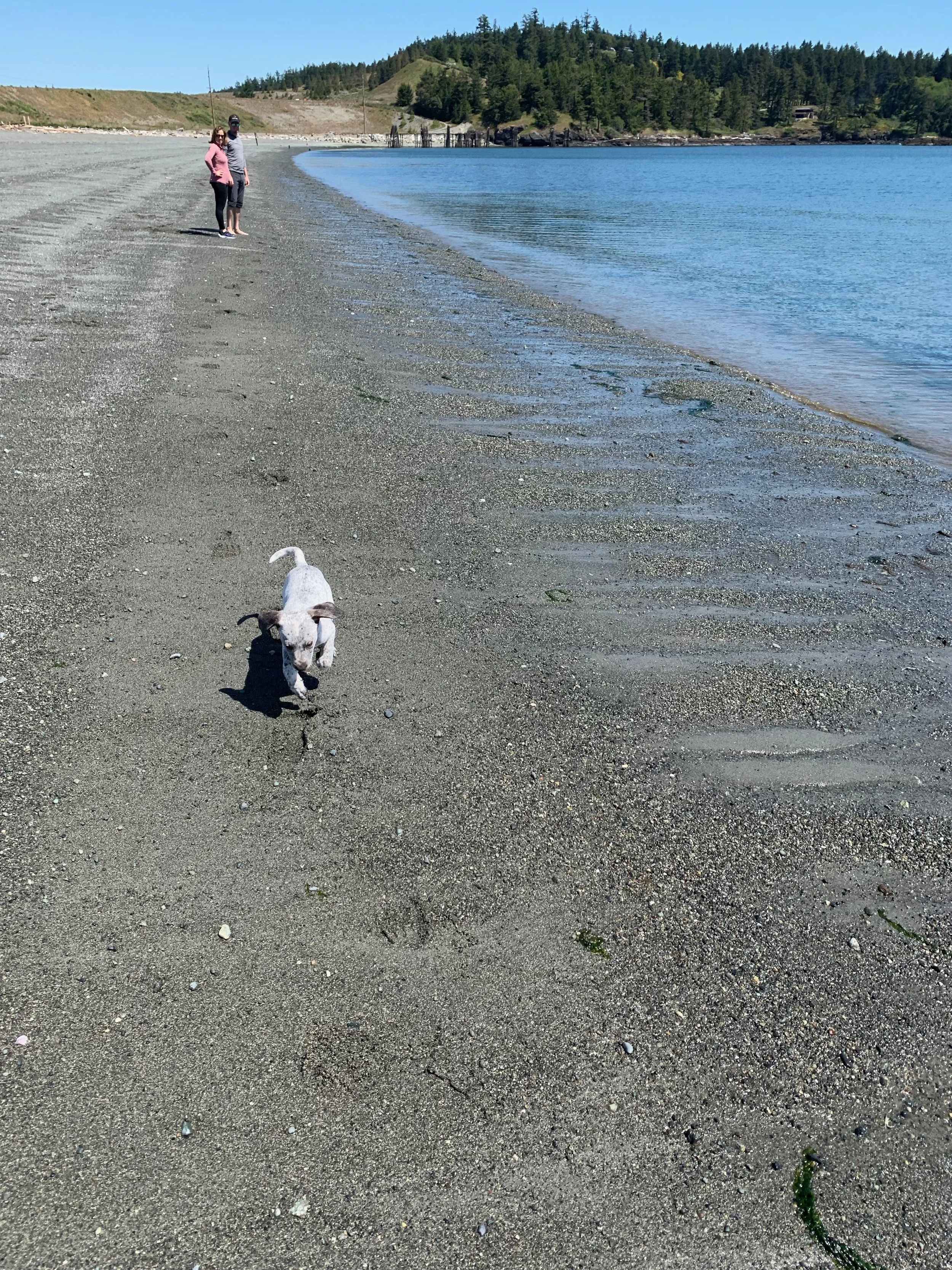 IMG_9905.jpeg