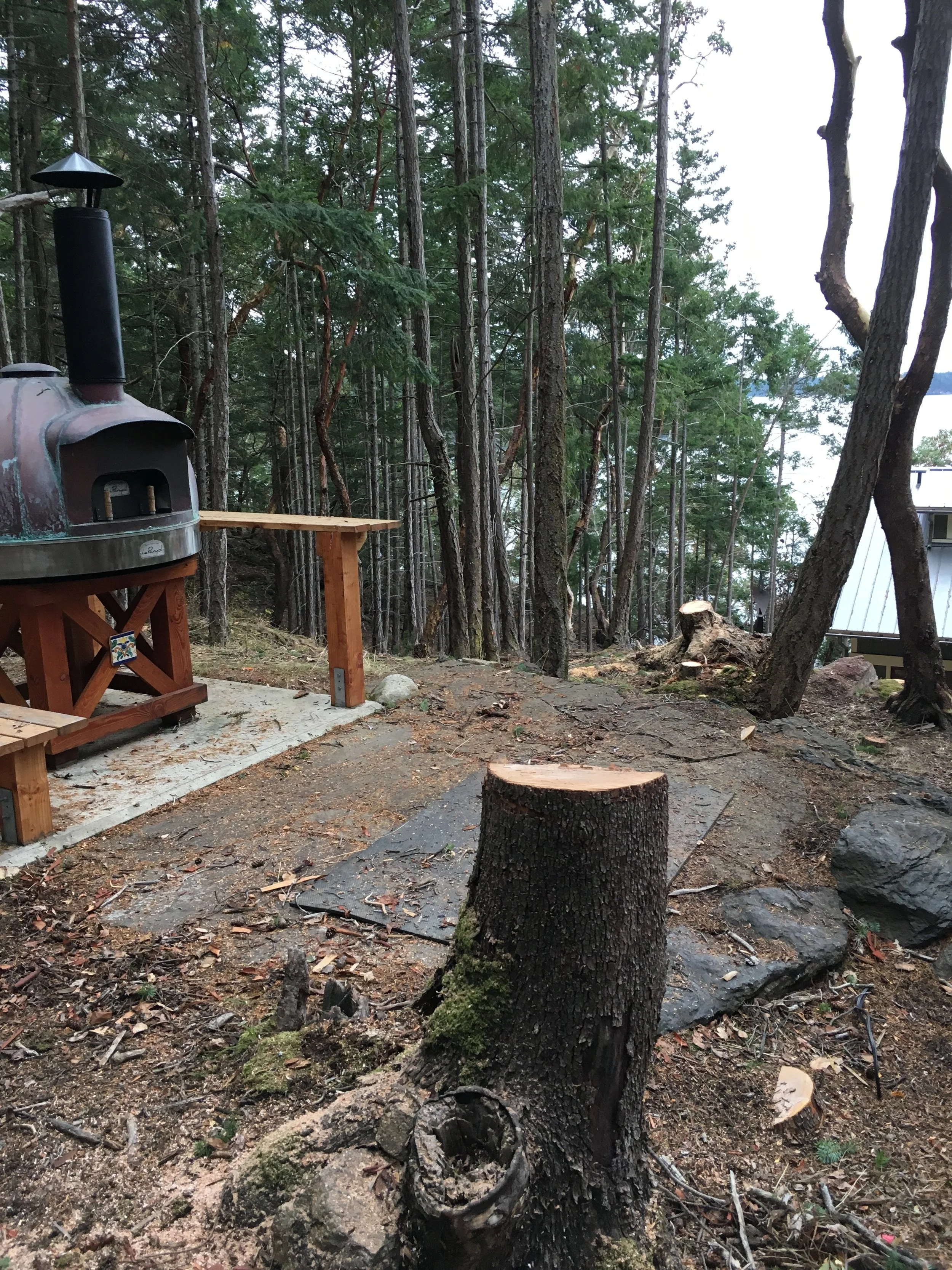 Tree Removal for View Enhancement