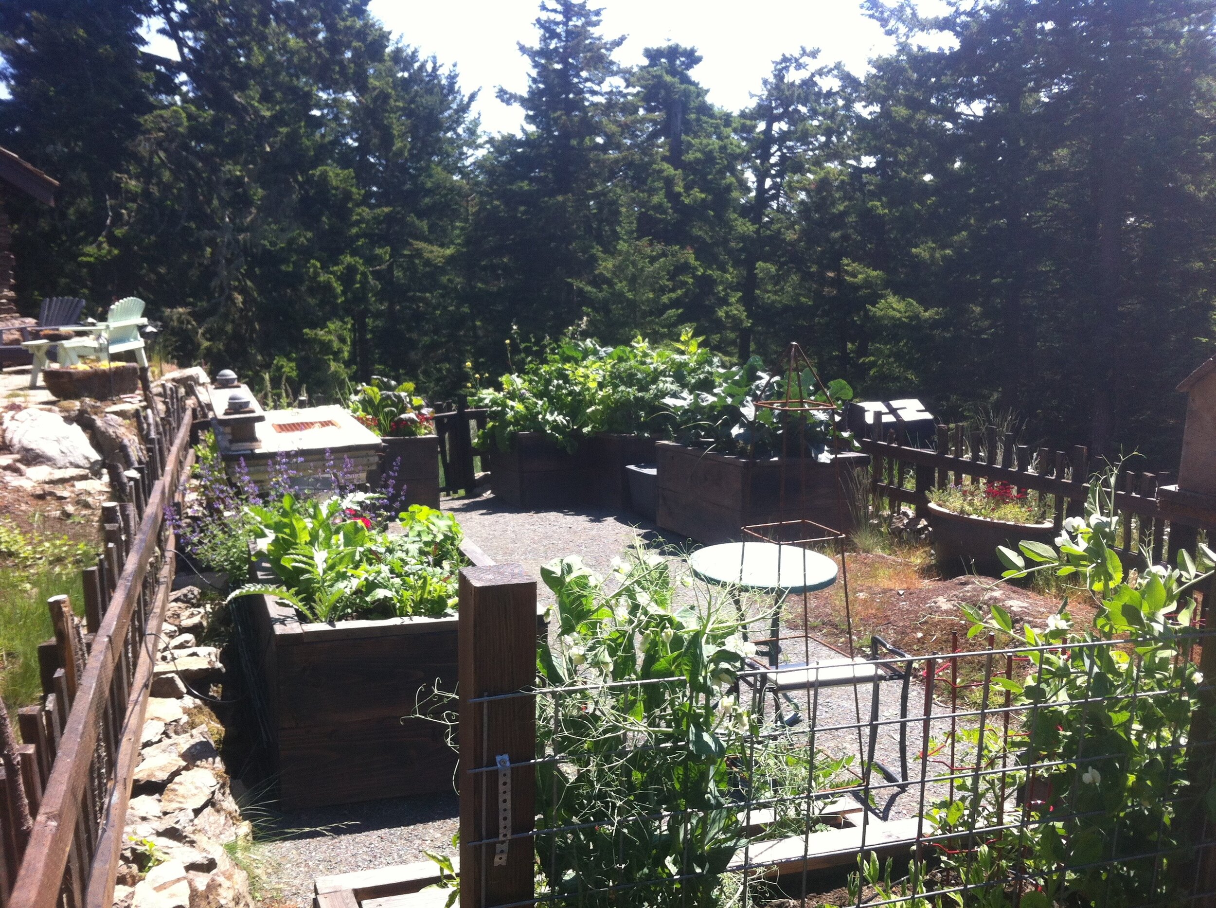 Cottage Gardens