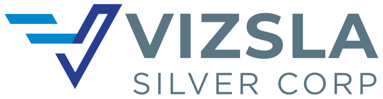 VZLA logo.png