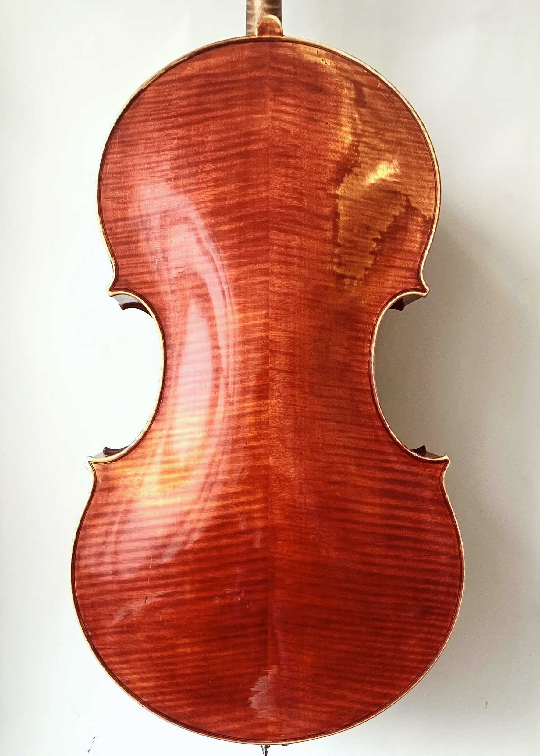 Violoncello/ Cellone,  Alfred Stelzner, Dresden 1893