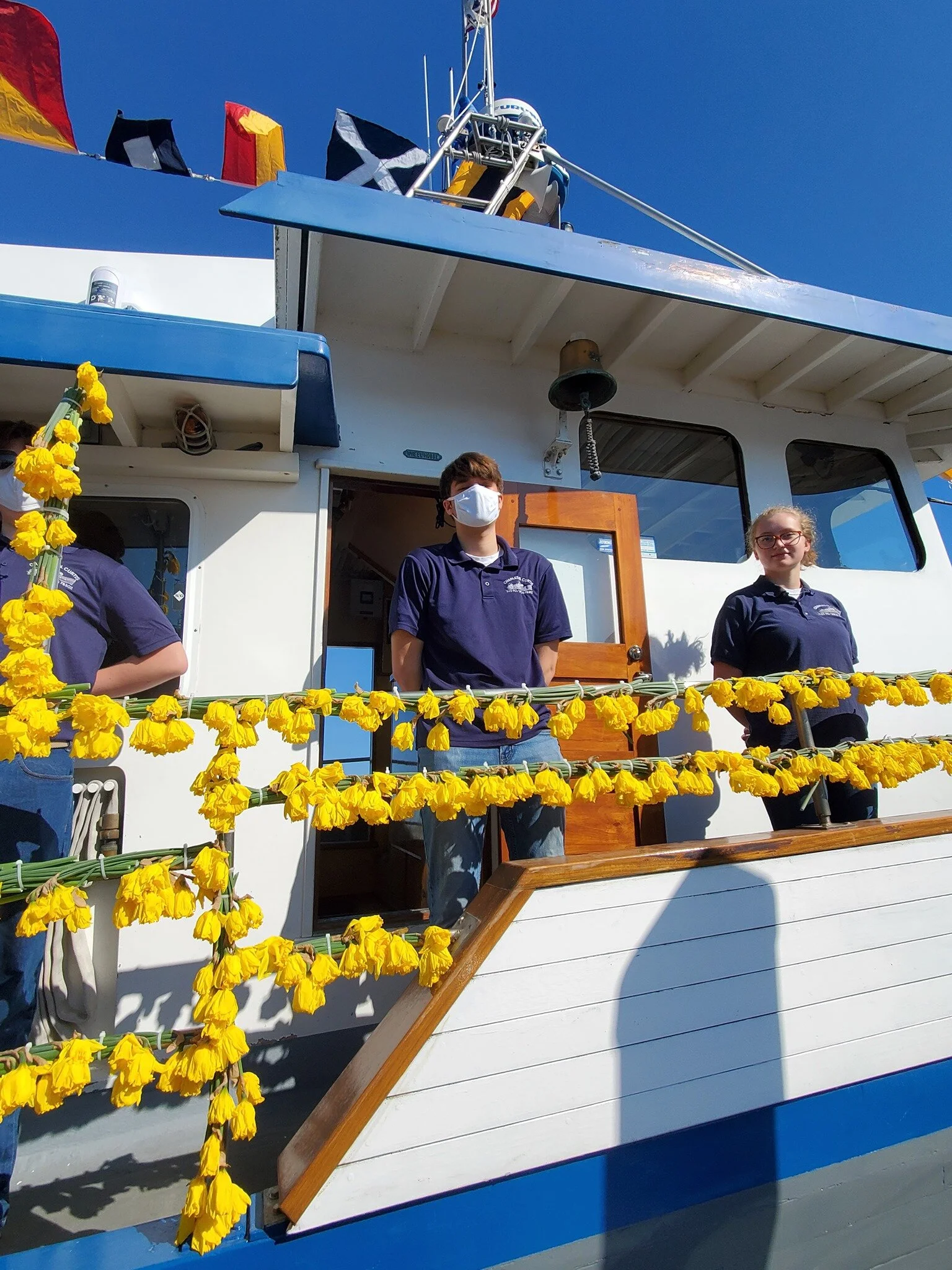 TYC Daffodil 2021 1.3.jpg