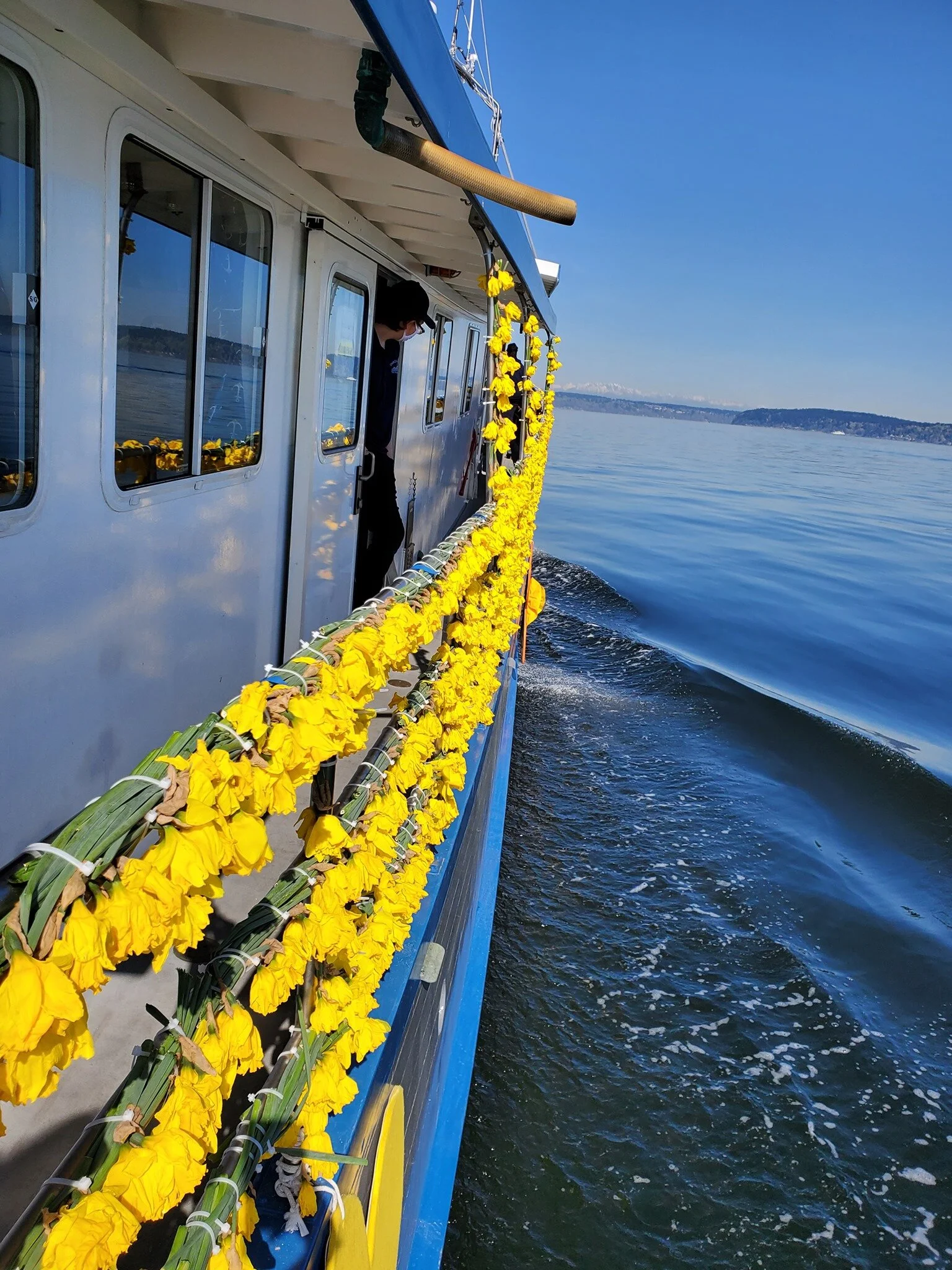 TYC Daffodil 2021 3.jpg