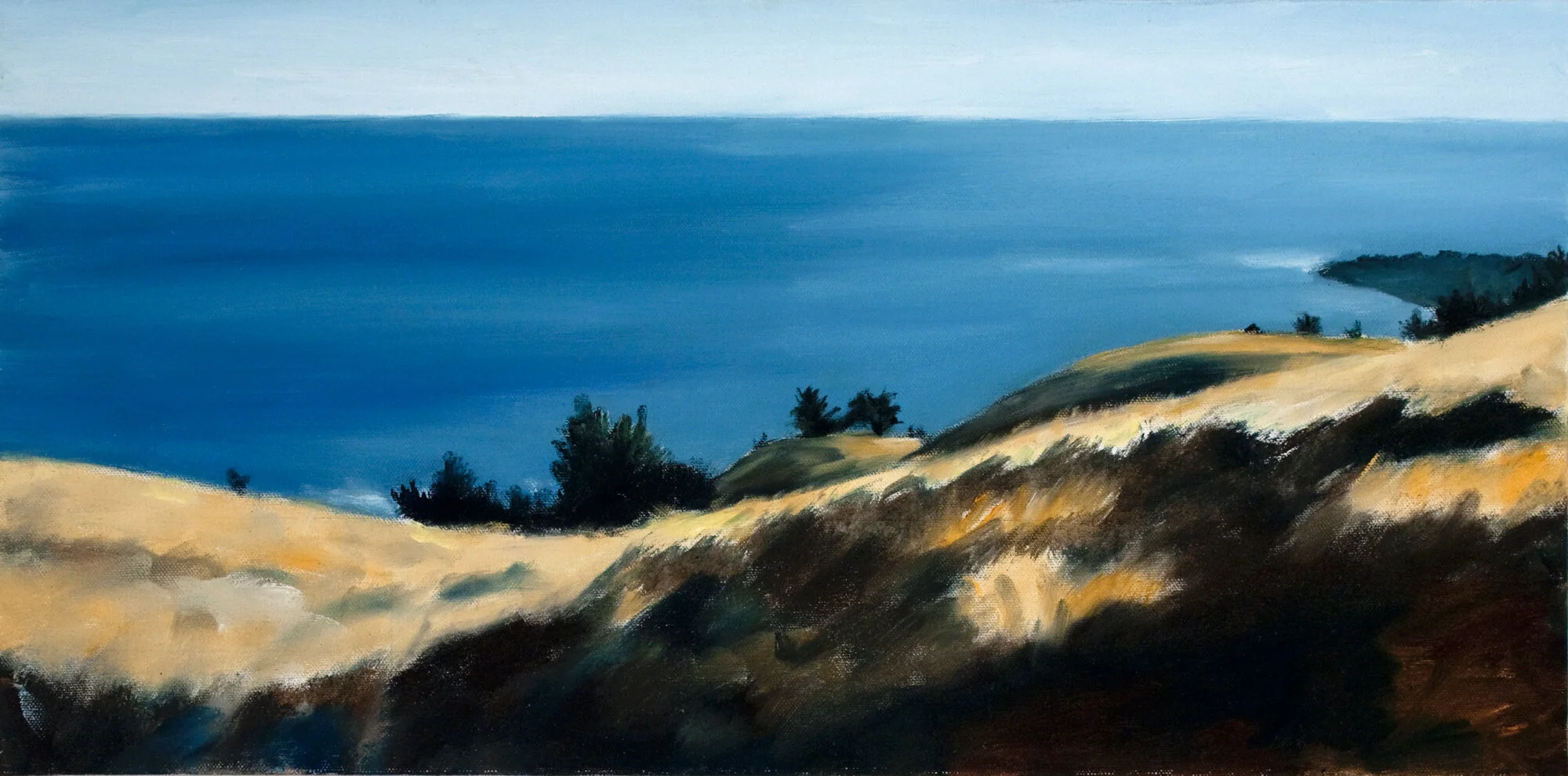 View from Mount Tamalpais.jpeg