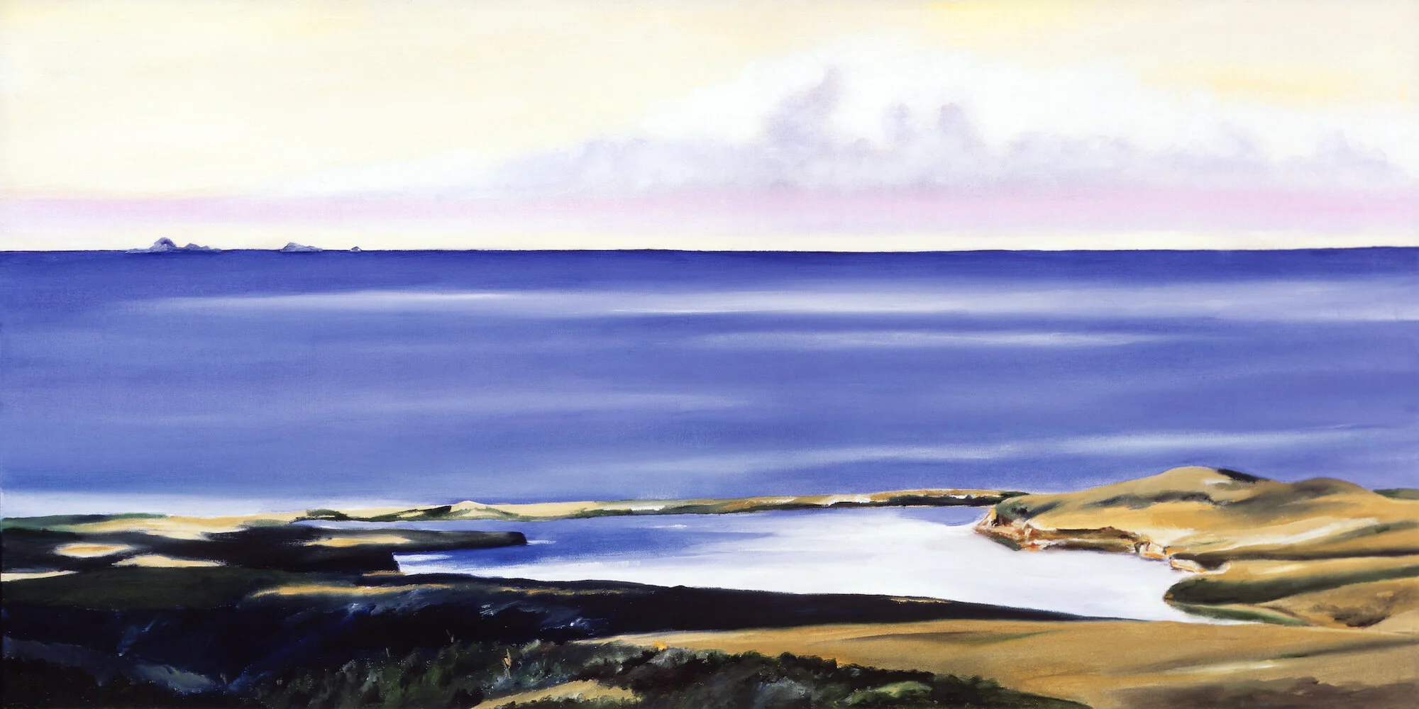 Drakes Estero and Fallarones2005.ccc.jpeg