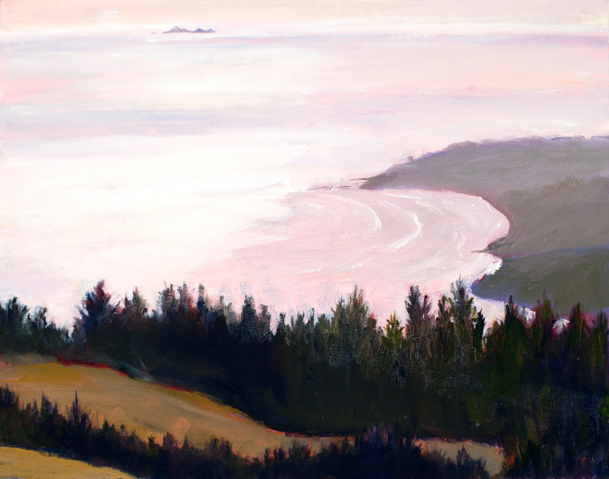 Bolinas and the Farallones from Mount Tamalpais.jpeg