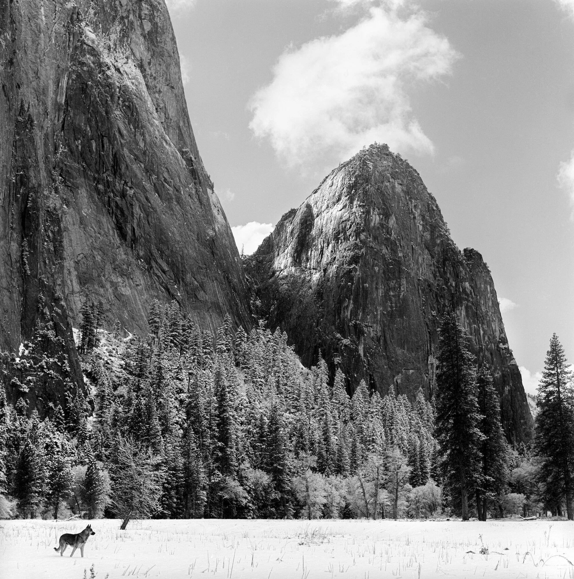 Zephyr and the Gunsightsharpened, Yosemite Valley.jpeg