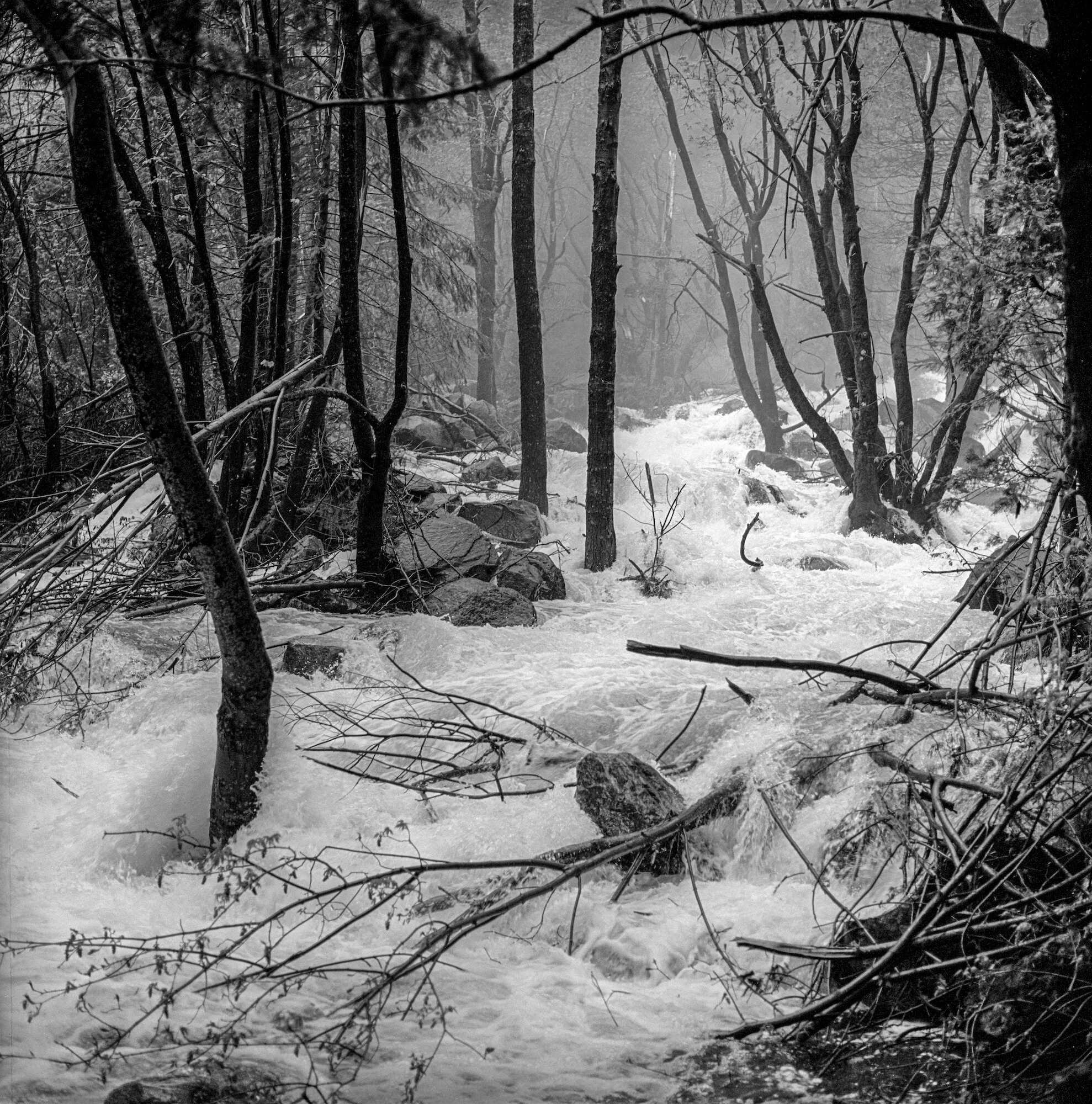 Spring Flood, Happy Isles 3newadjust.jpeg