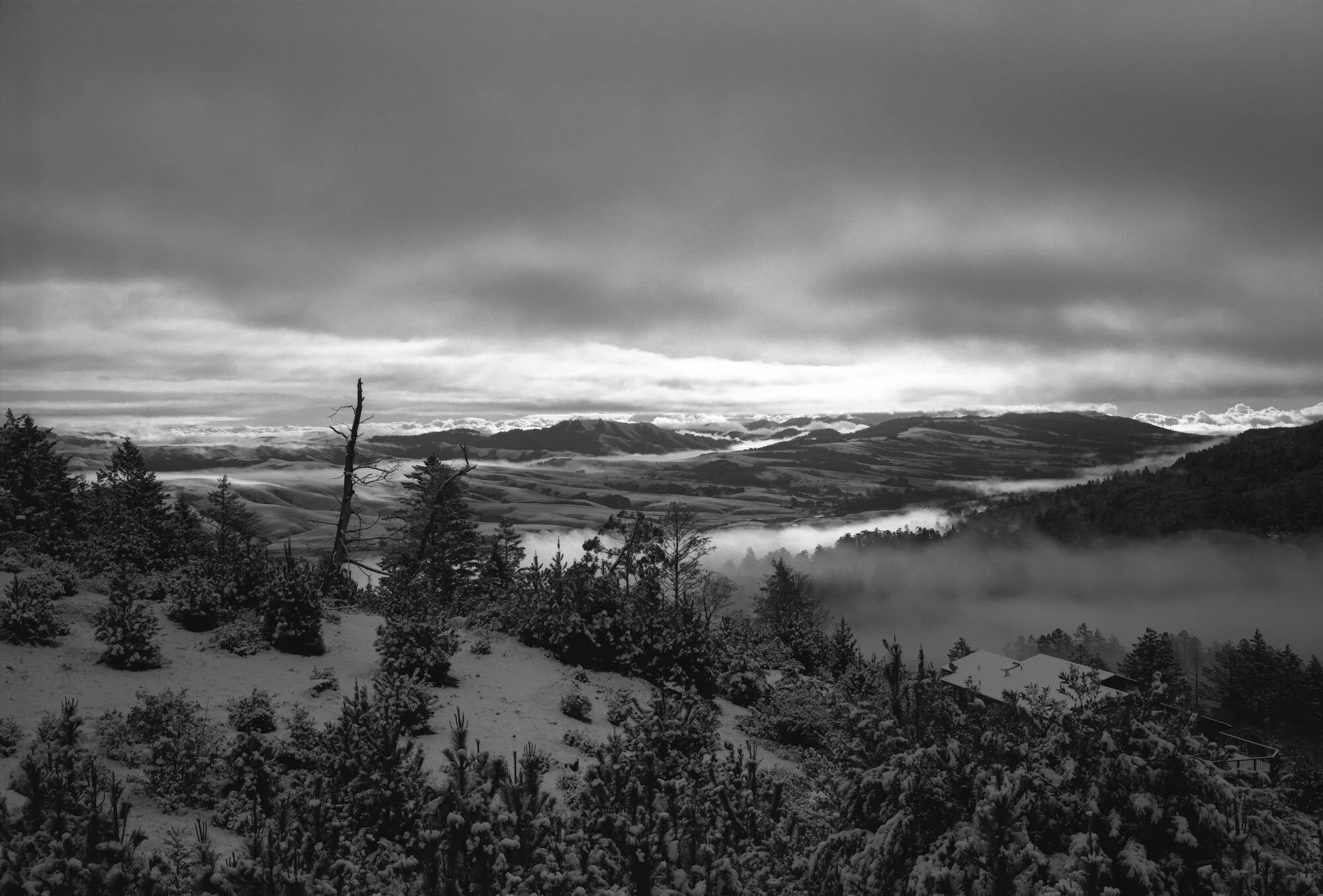 Bolinas Ridge in Snow,PR-2868.jpeg