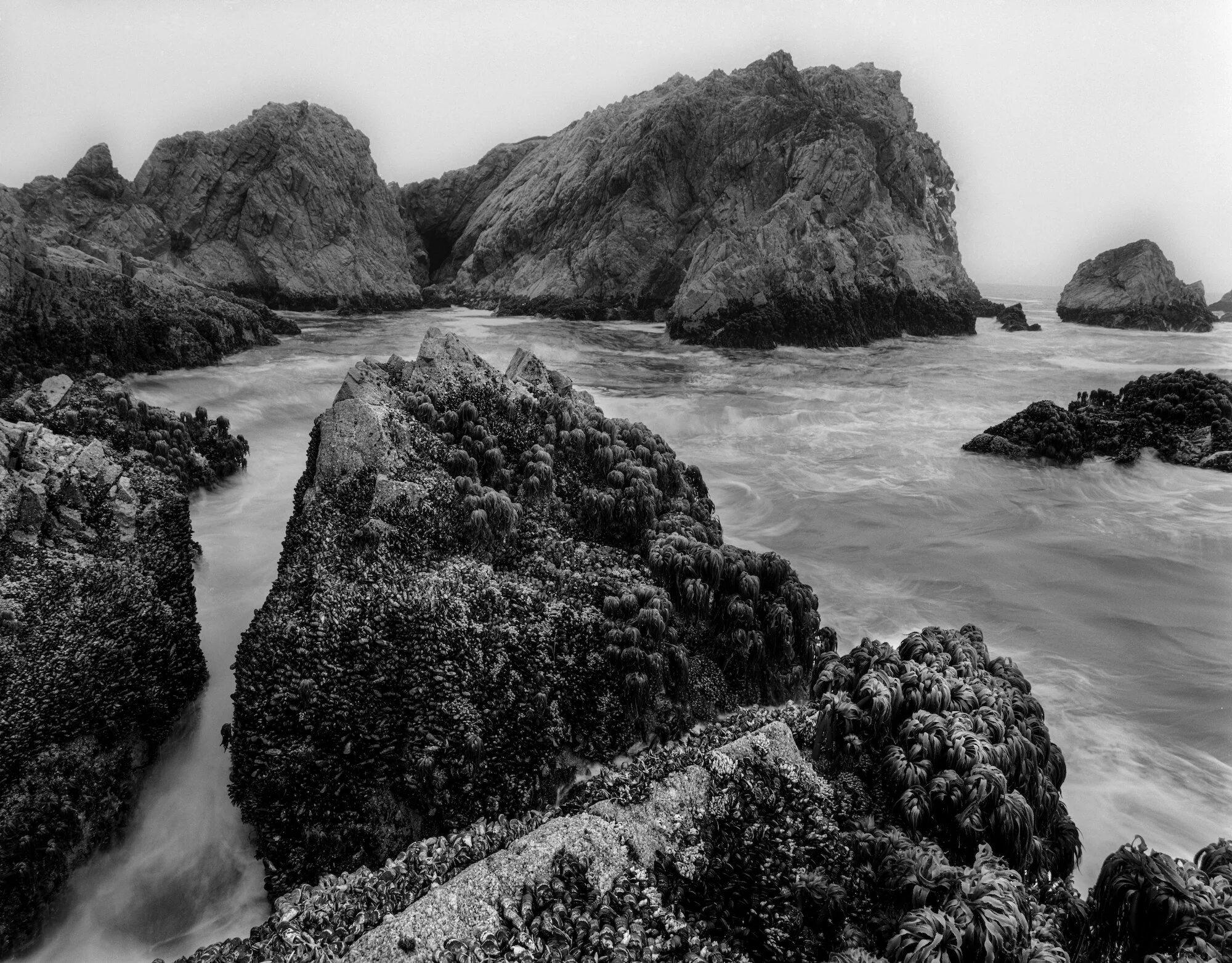 Mc Clures Caldrwrtyonccc.jpeg