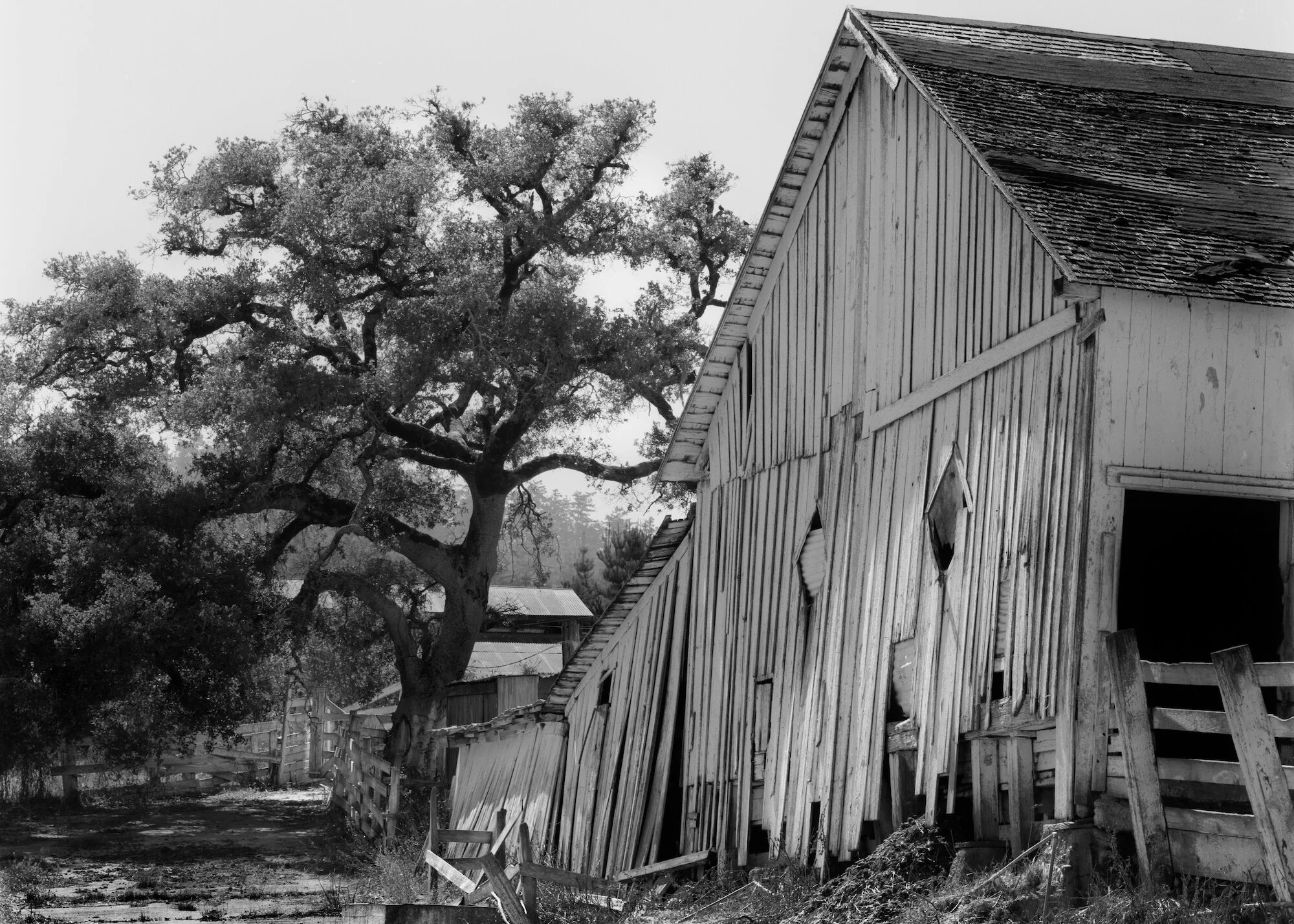 Disappered Barn10x14.jpeg