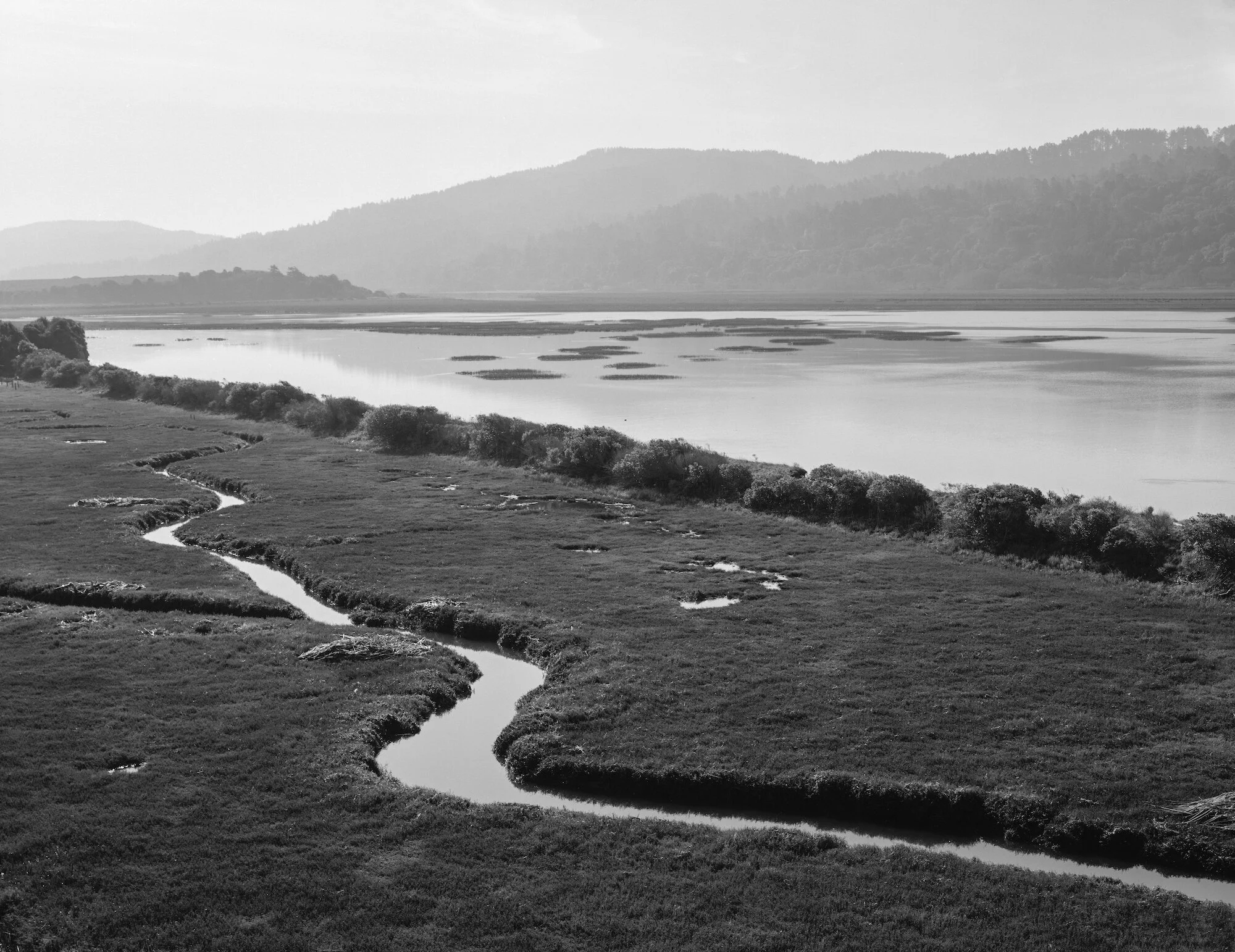 Tom Bay Zig Zag.jpeg