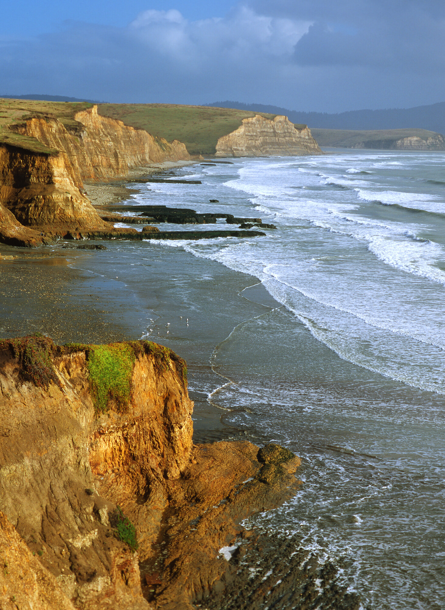Point Reyes Photographs Point Reyes Color Photographs — Point Reyes.art