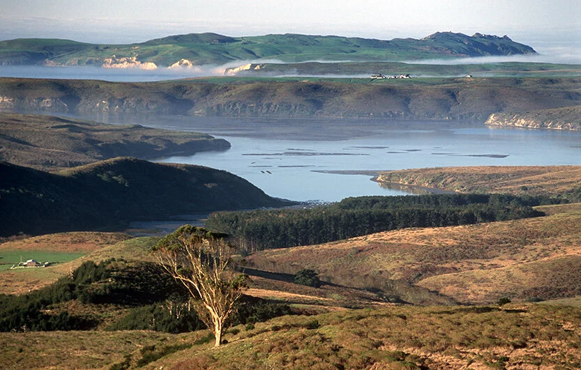 Point Reyes Headlands from Mount Vision.jpg