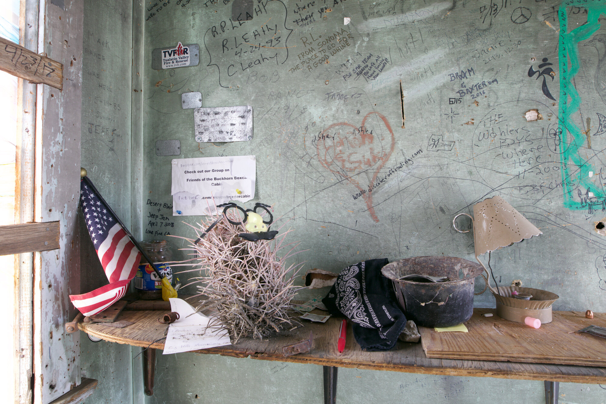 Desk with Groucho Marx cactus and flag