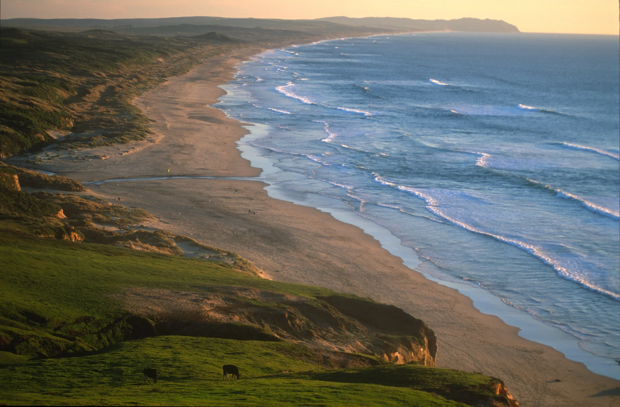 Great Beach from Kehoe Cliffs.jpeg
