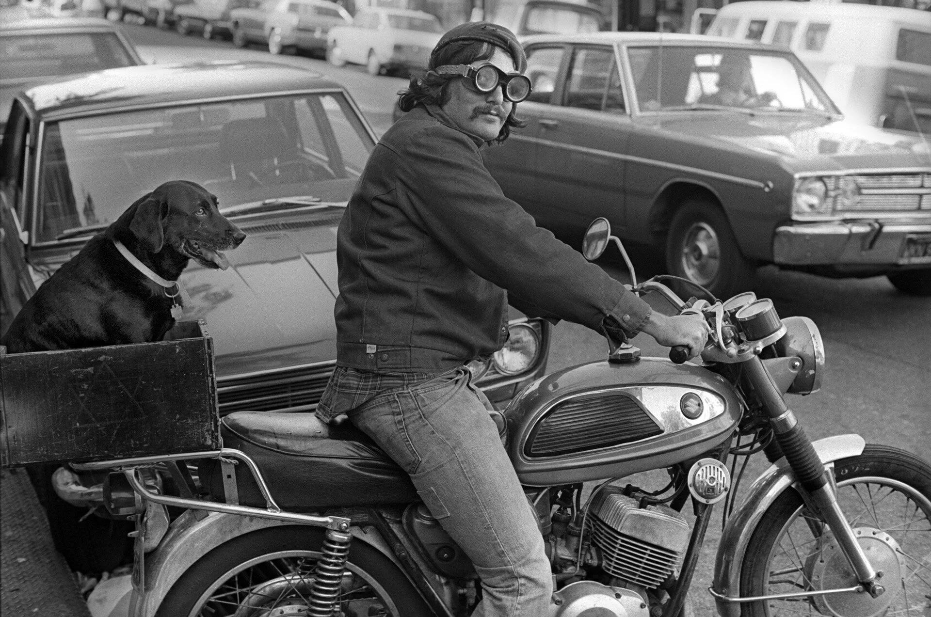 Motorcyclist with Dog in Box, Telegraph Ave..jpg