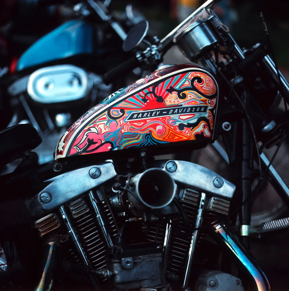 Harley Painted Gas Tank — ENVIRONMENTAL EYE