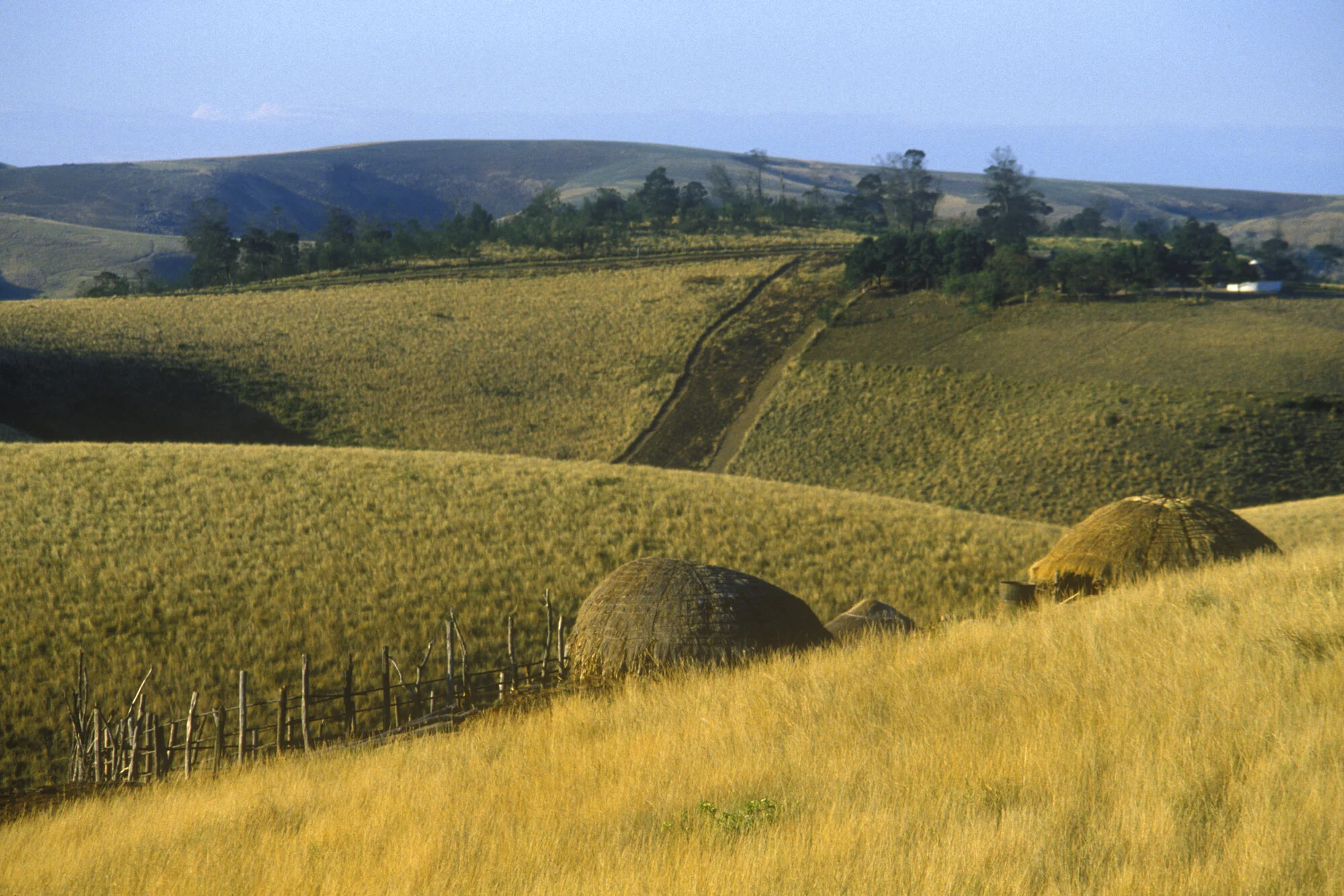 Huts and Golden Hills, KwaZulu-Natal.jpeg