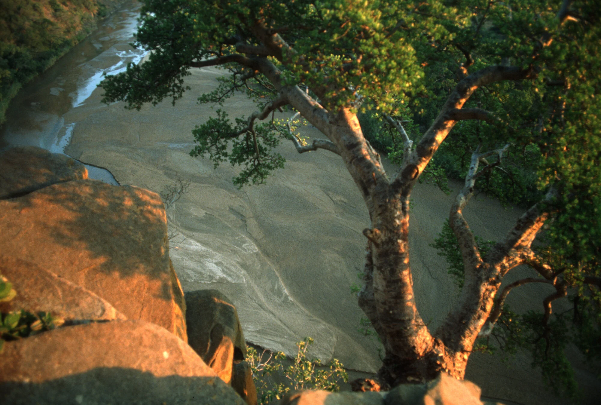 Umfolozi River, KwaZulu-Natal.jpeg