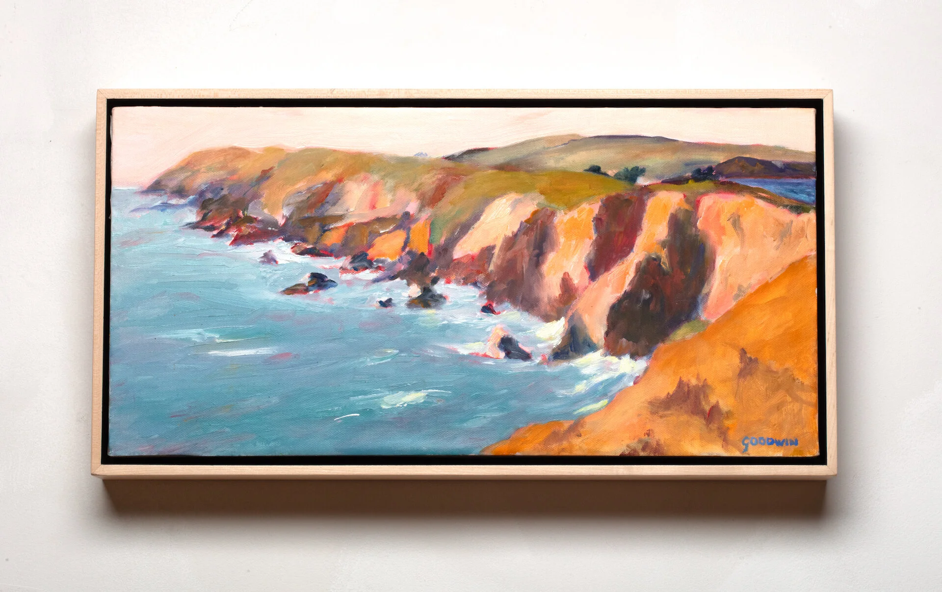 Point Reyes Headlands from Chimney Rock.jpeg