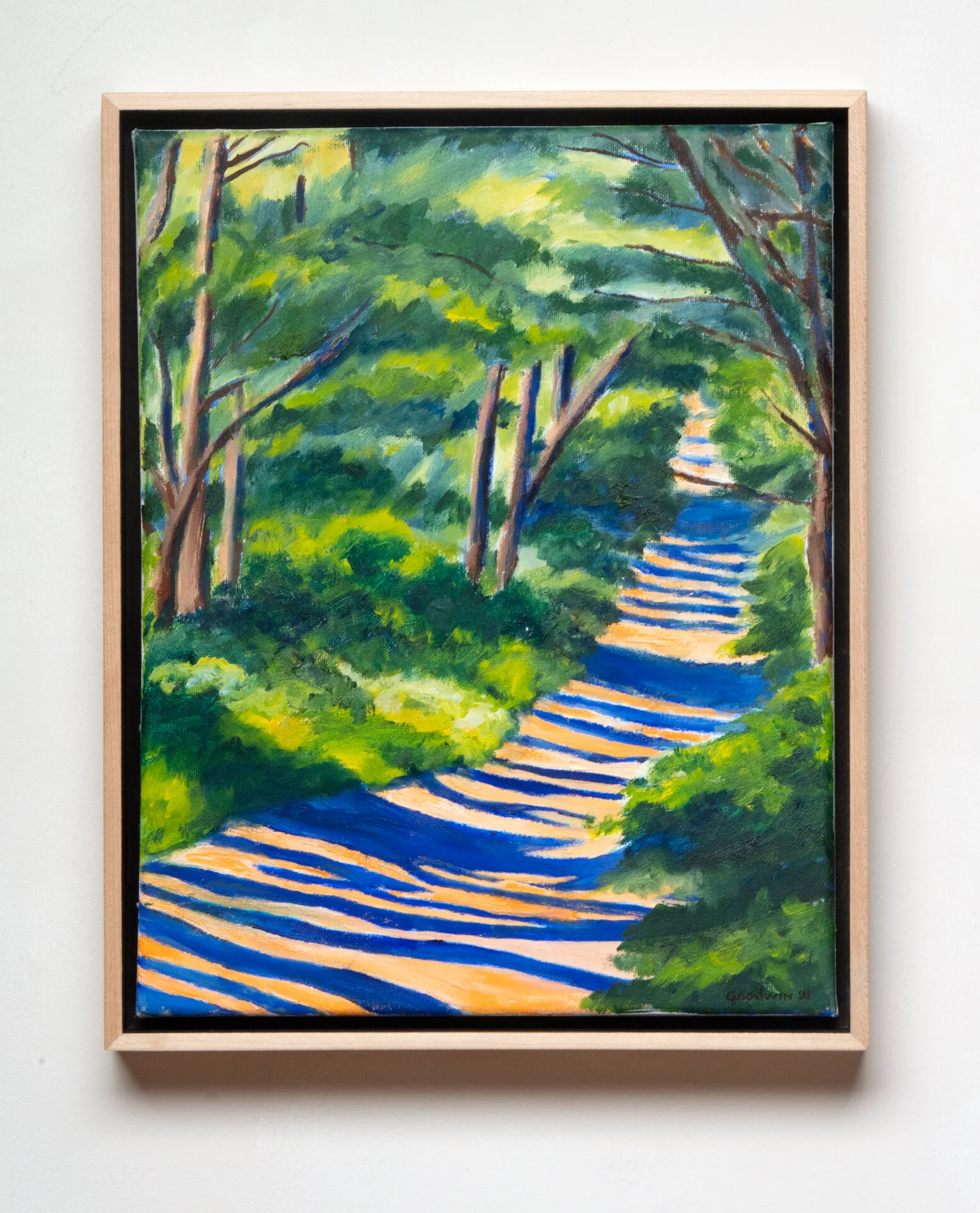 Path to Mount Vision.jpeg