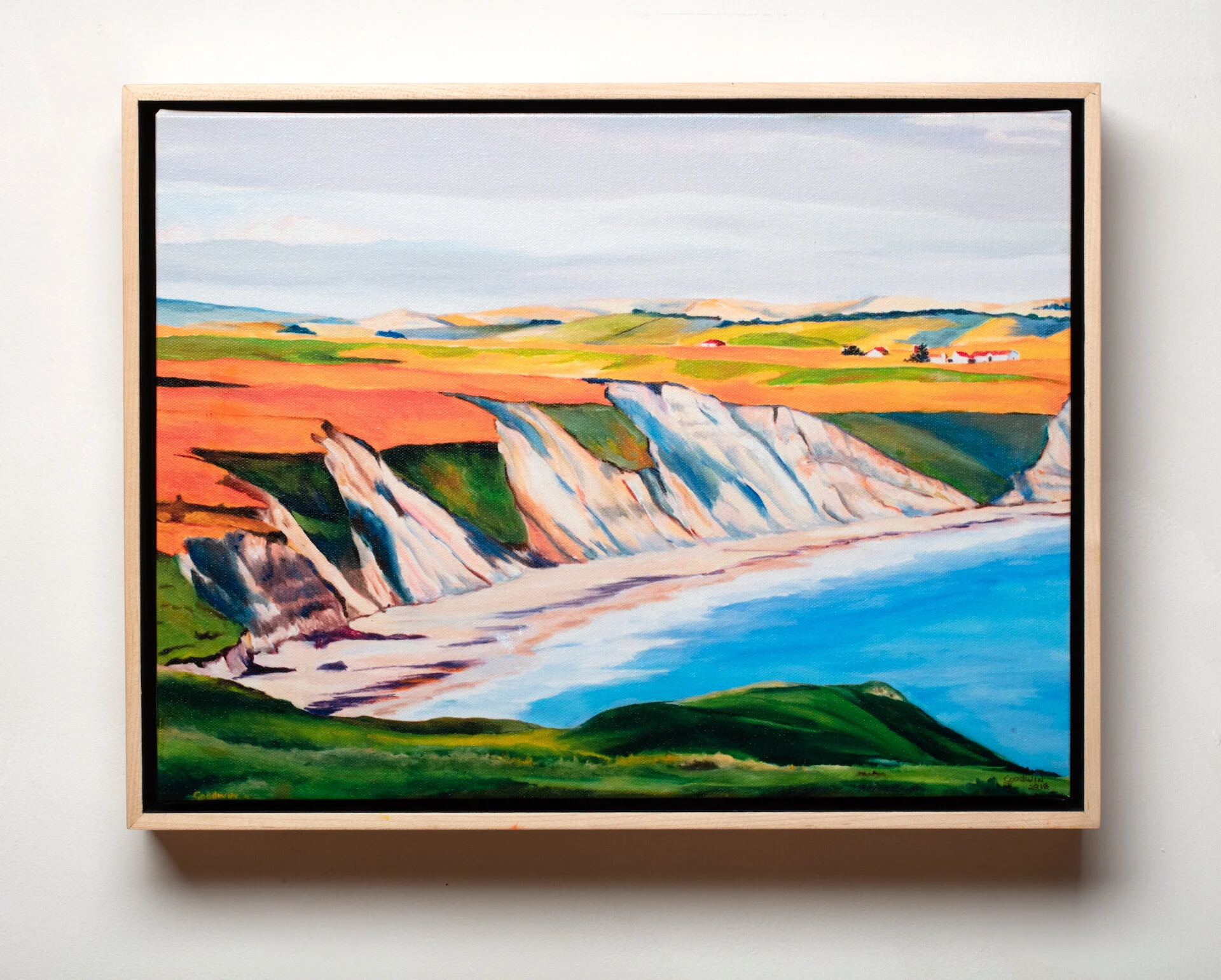 Drakes Bay and Cliffs.jpeg