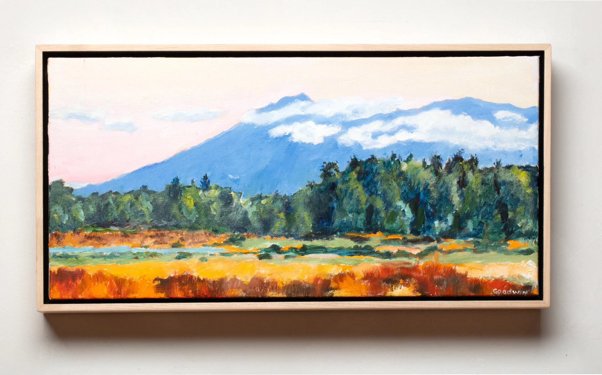 Mount Tamalpais and Clouds.jpeg