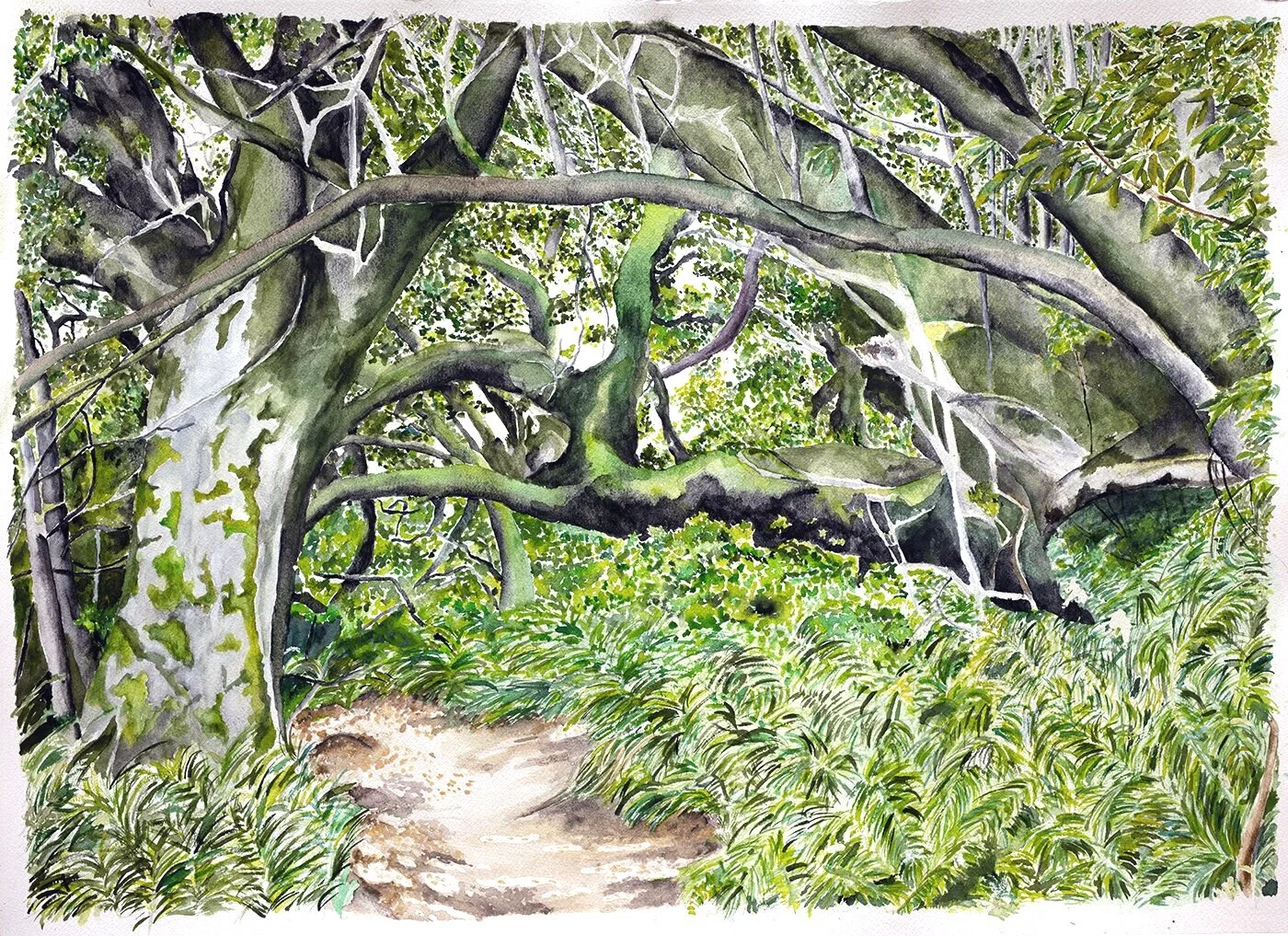 Path+to+Pebble+Beach%2CTomales+Bay+State+Park+2020+-+watercolor.jpg