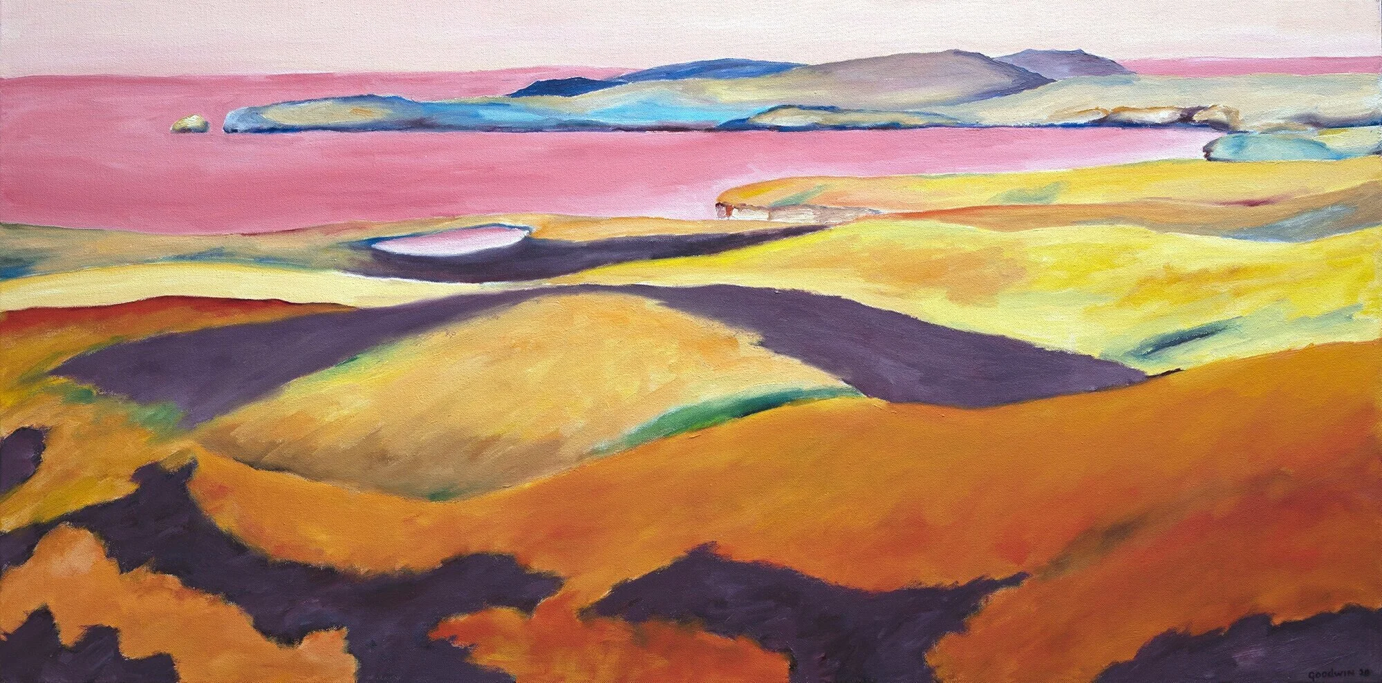 Drakes+Bay+and+Point+Reyes+Headlands++2020+©Kathleen+Goodwin.jpg