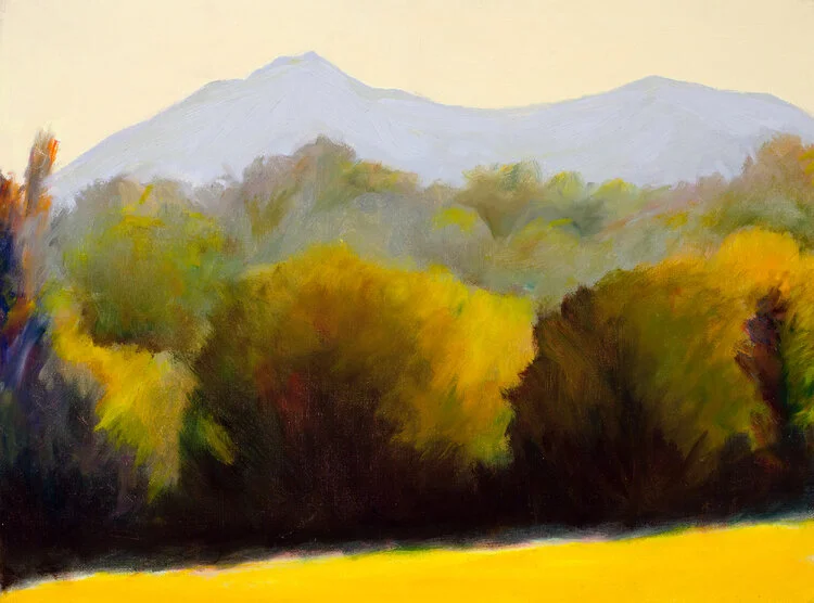 Mount+Tamalpais.jpeg