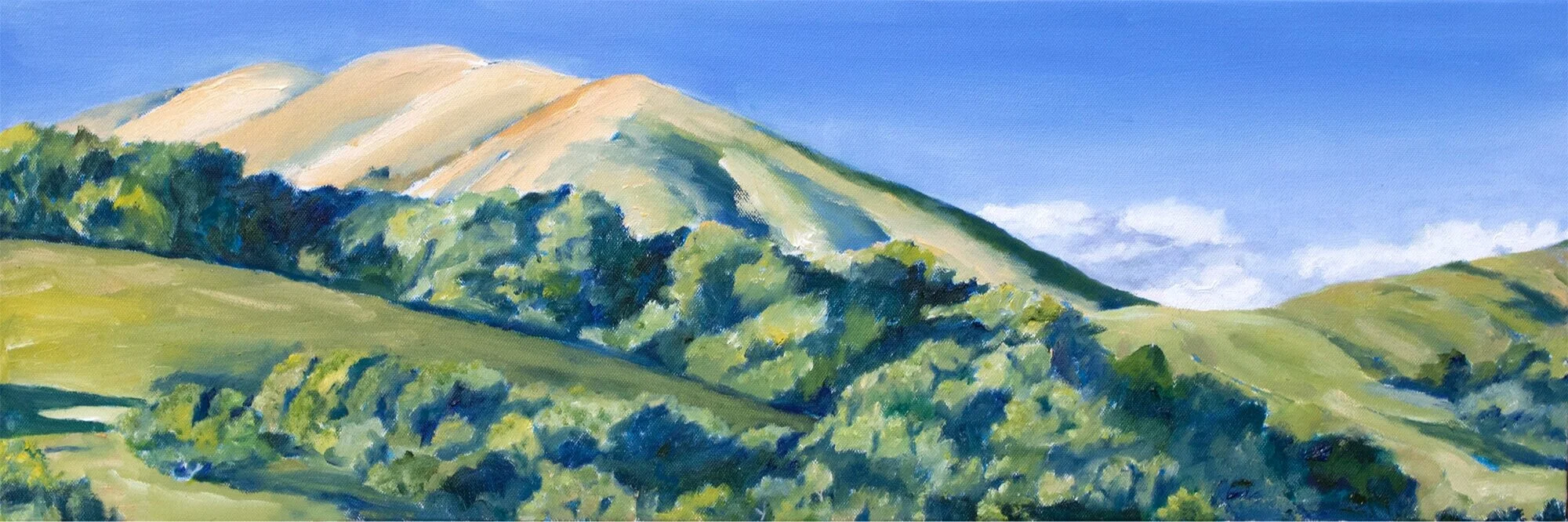 Elephant+Mountain+from+the+Bolinas+Trail.jpg