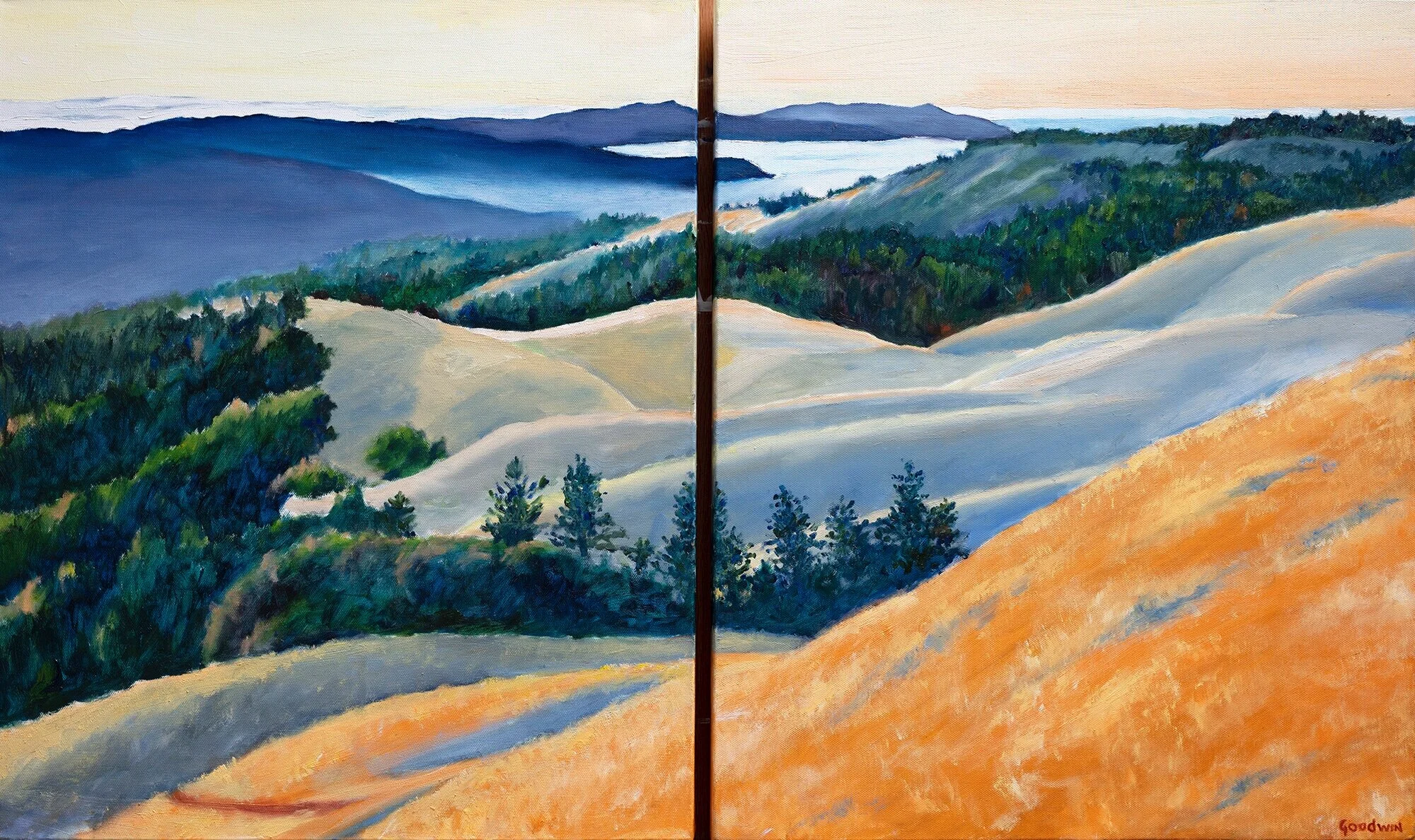Inverness+Ridge+and+Olema+Valley+from+Mt.+Tamalpais+2021.jpg