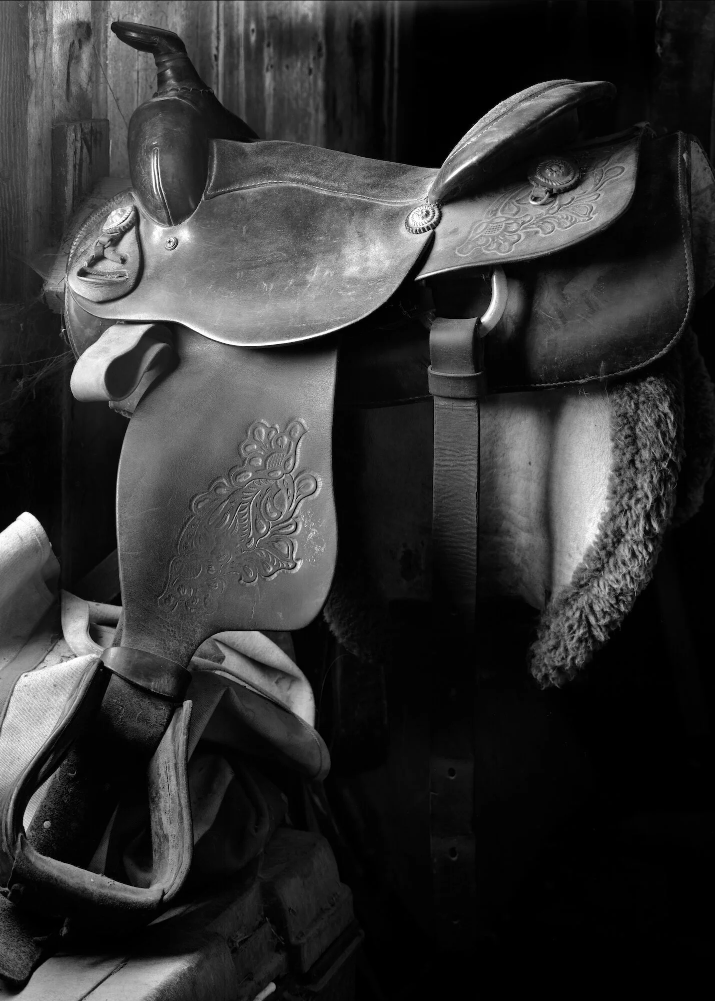 Saddlee, Home Ranch, Point Reyes