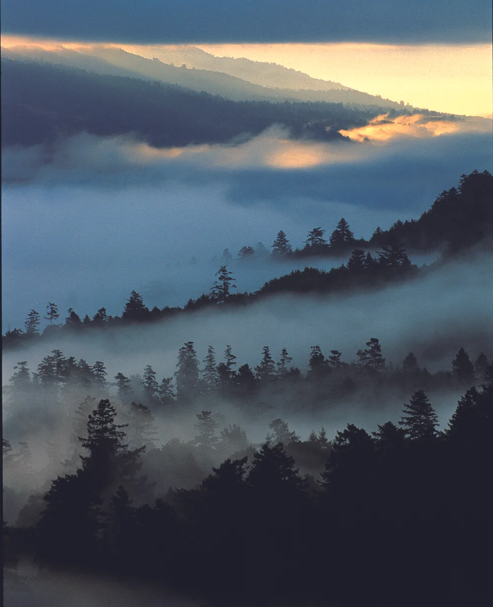 Sunrise+from+Inverness+Ridge.jpg