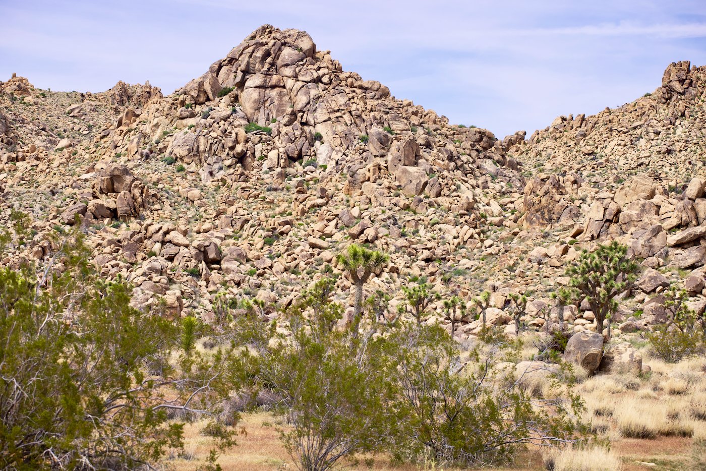 Big Rockpile in Joshua Tree