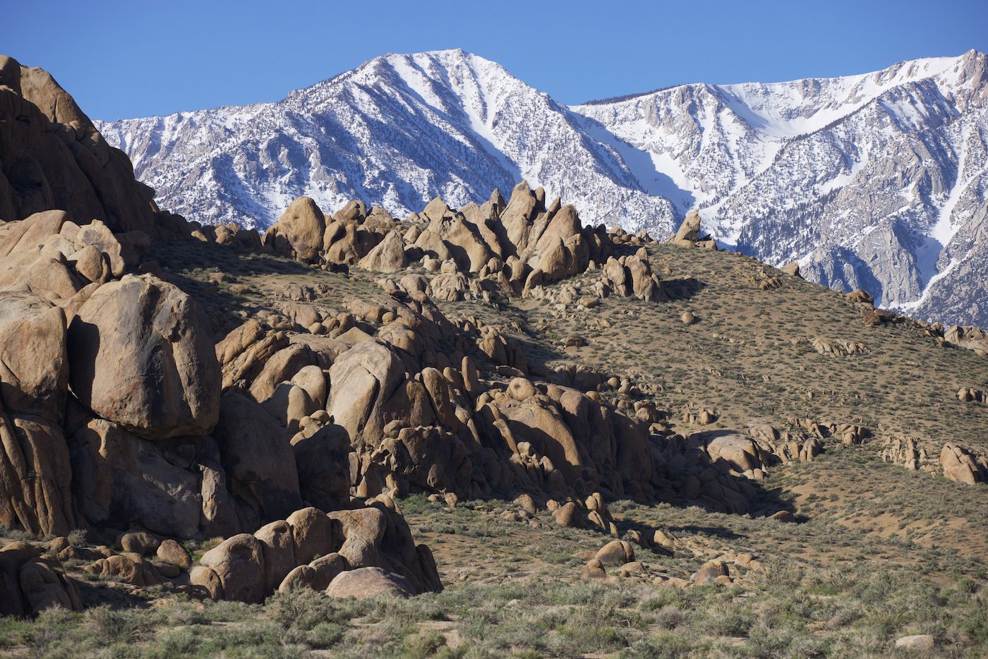 Snowcapped Sierra from the Alabama Hills