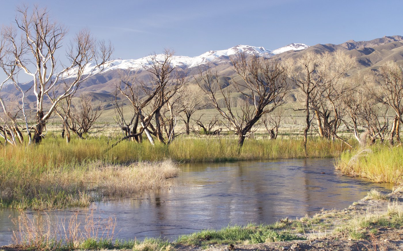 Owens River