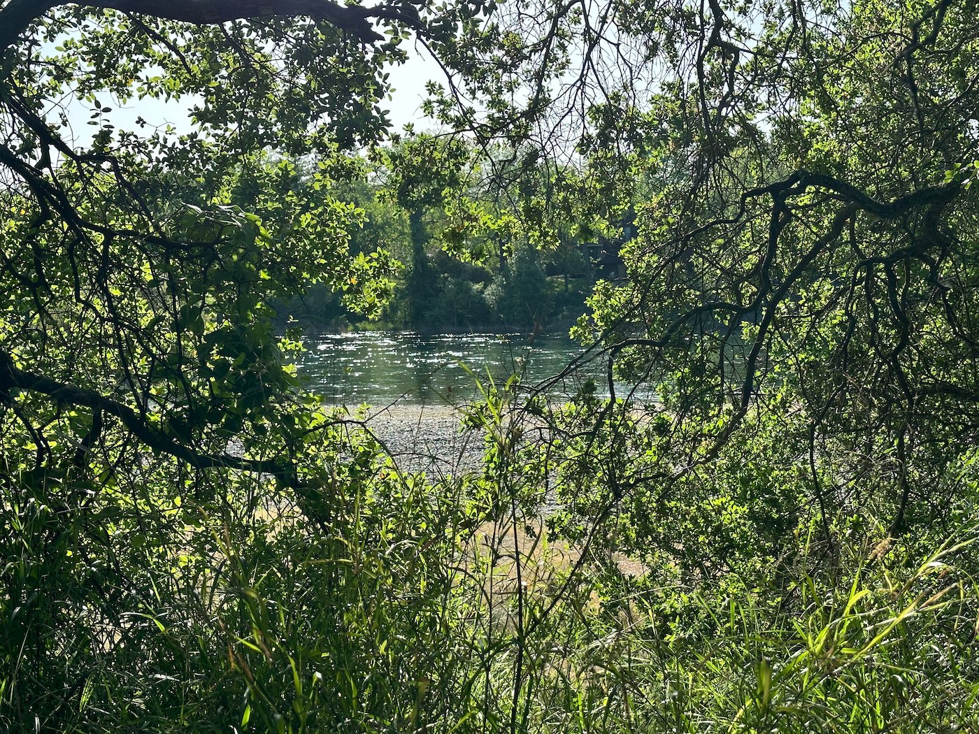 American River, River Bend Park, Rancho Cordova.