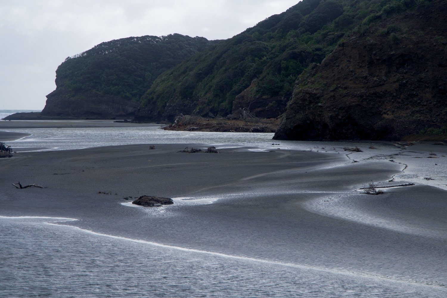 Bethells Beach with tidal flats