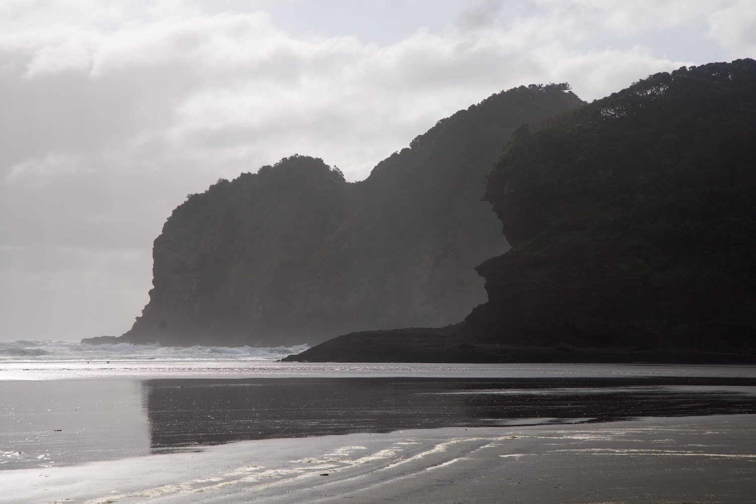 Sea cliffs 1, Bethells Beach