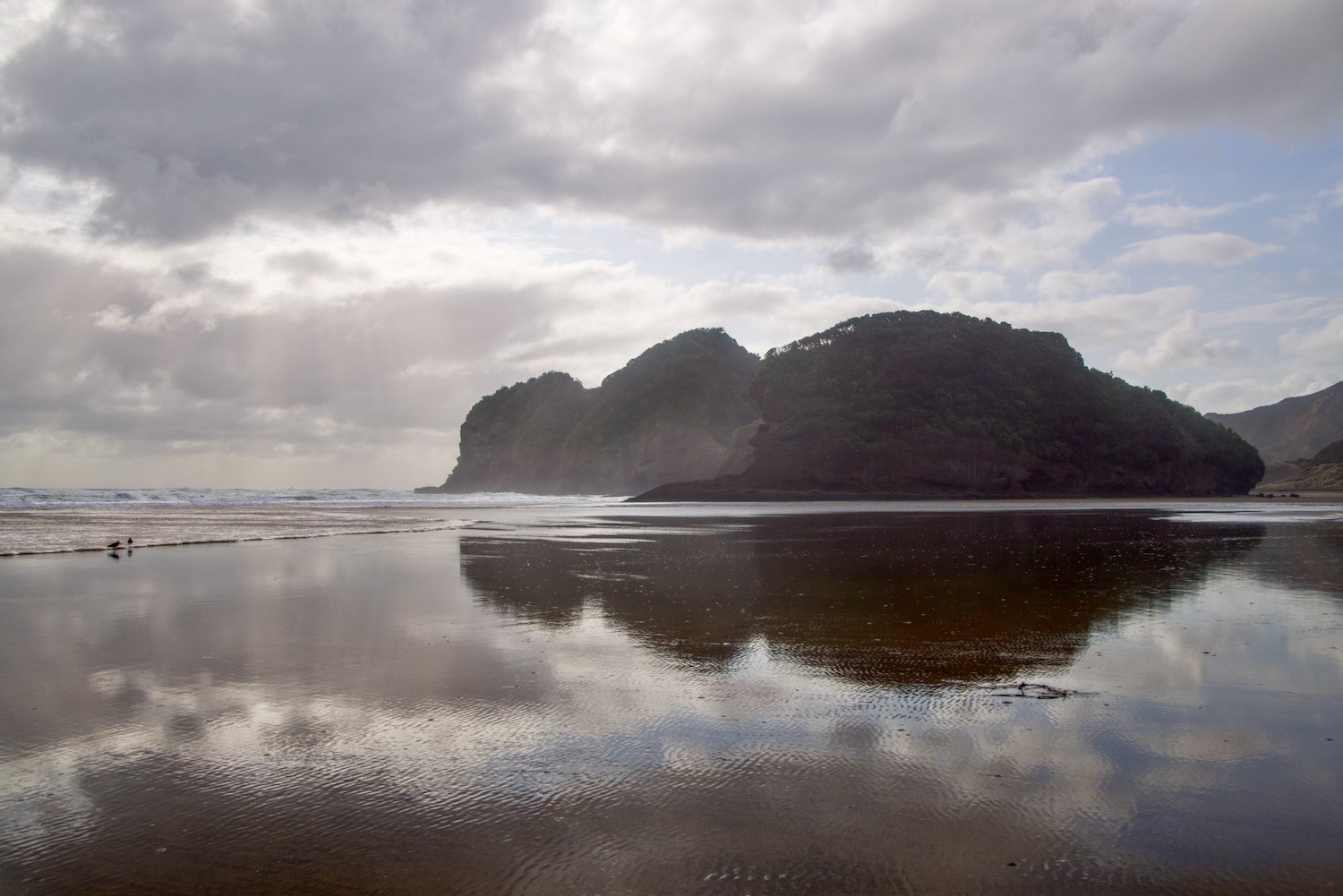 Sea cliffs 2, Bethells Beach