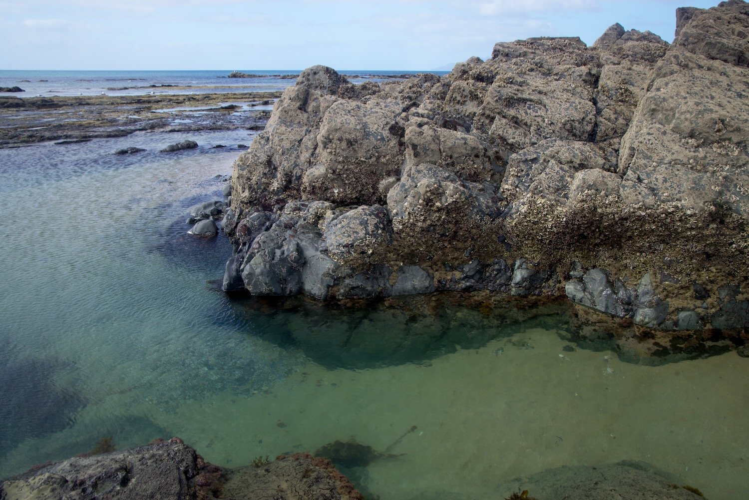 Clear sea water, Taiharuru National Park 