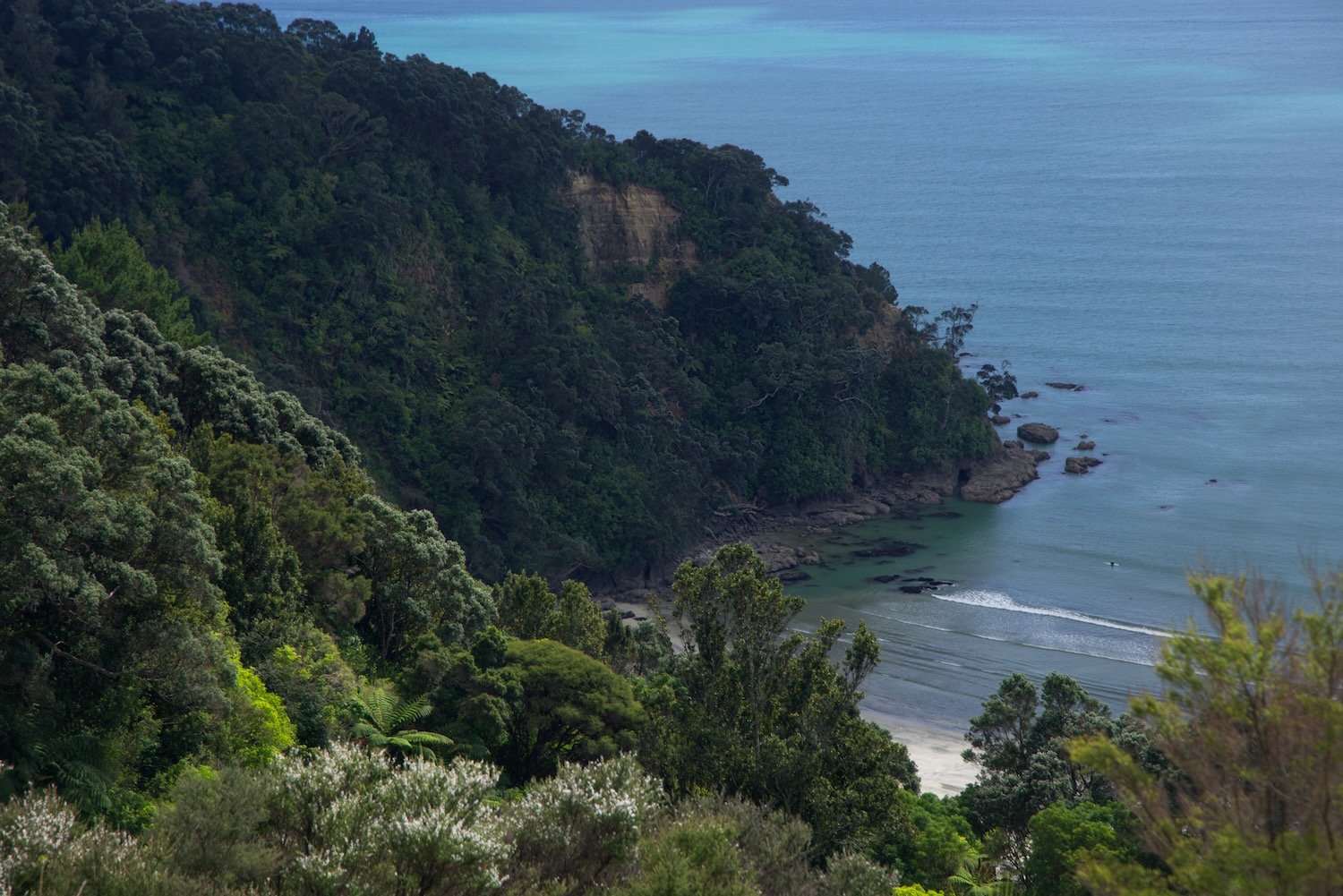 Cove by Whakatāne with surfer
