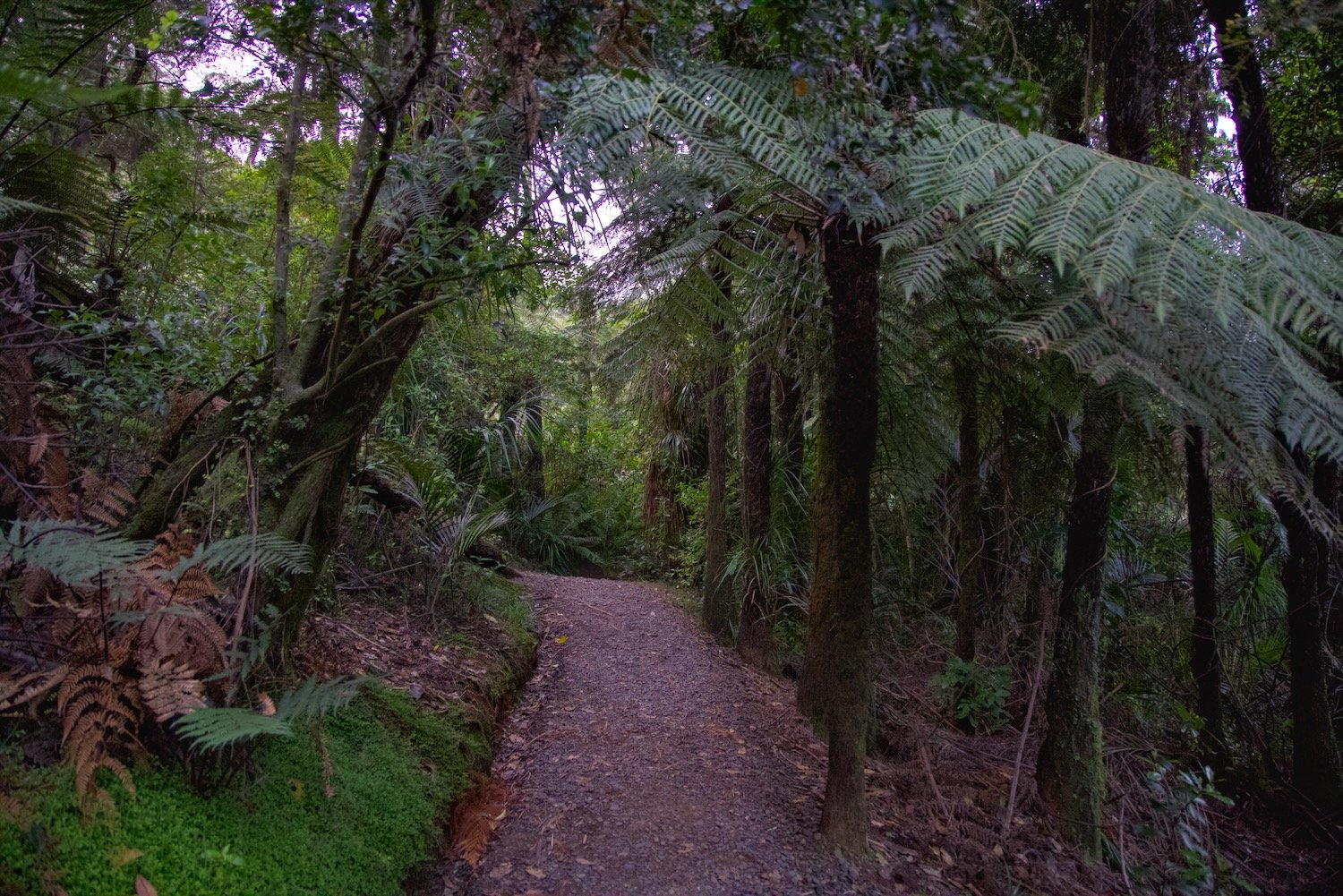 On the trail to the waterfall