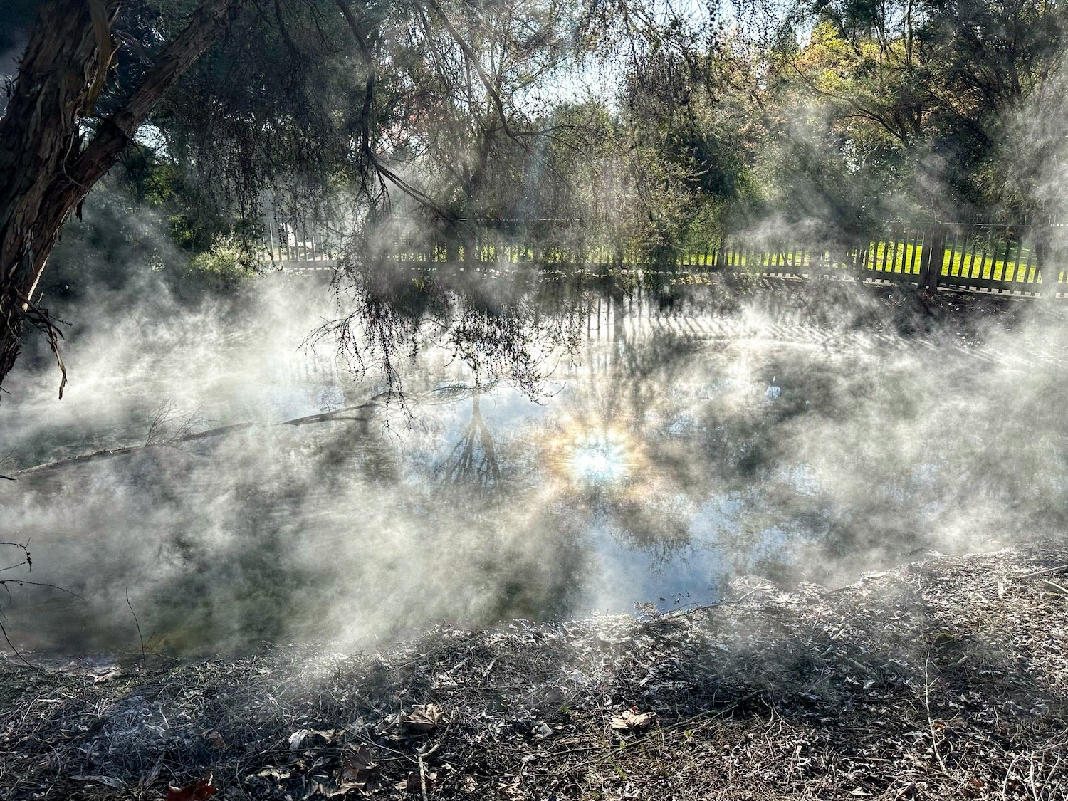 Rotorua Thermal Pool