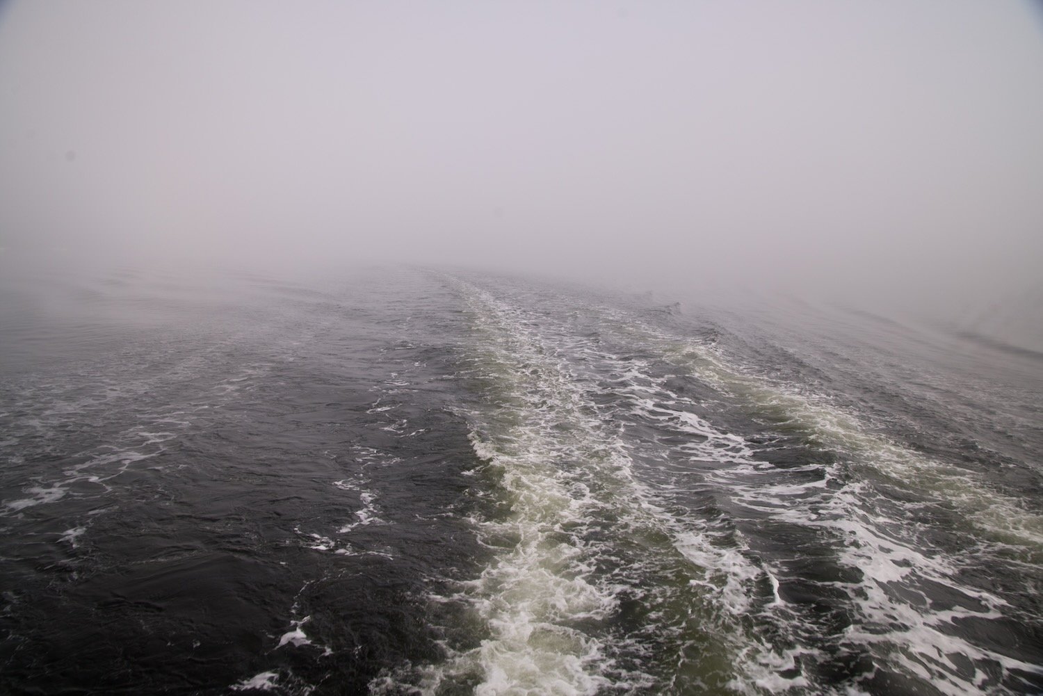 Ferry wake to Bruny Island